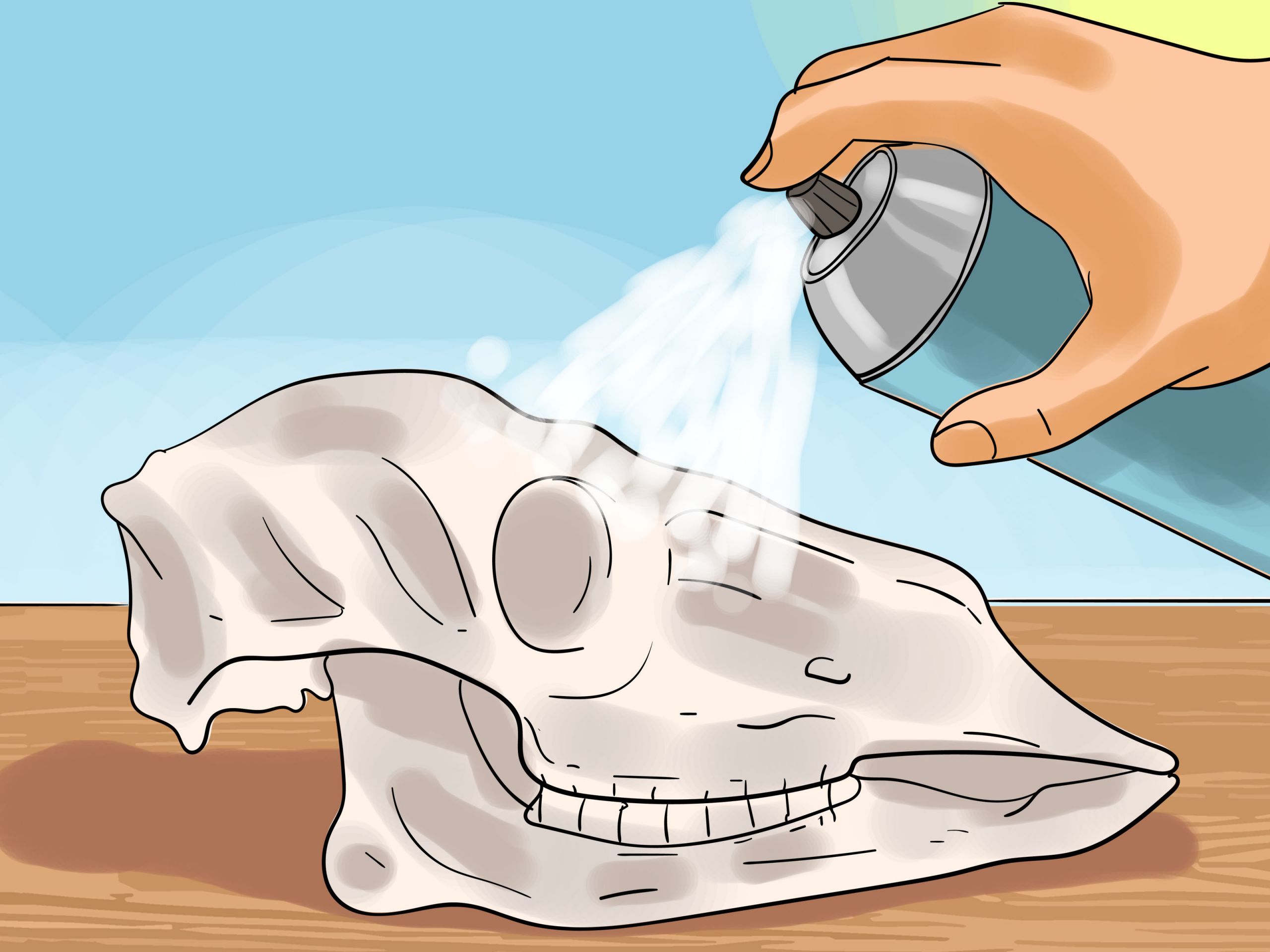 Preserve a Skull Step 9