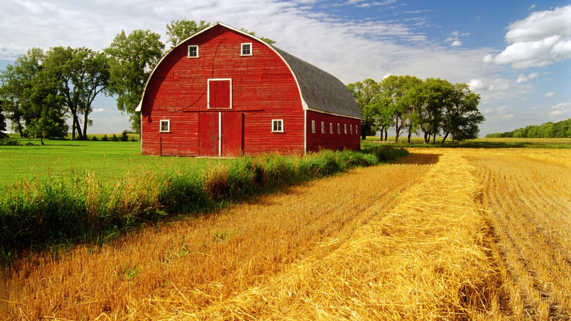 Farm Animals Crafts for Teens