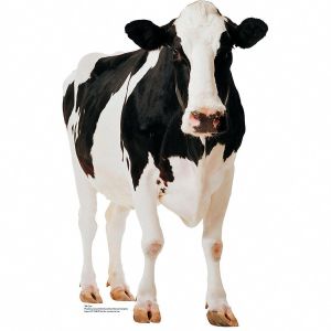 7 Farm Animals Cutouts - AMP