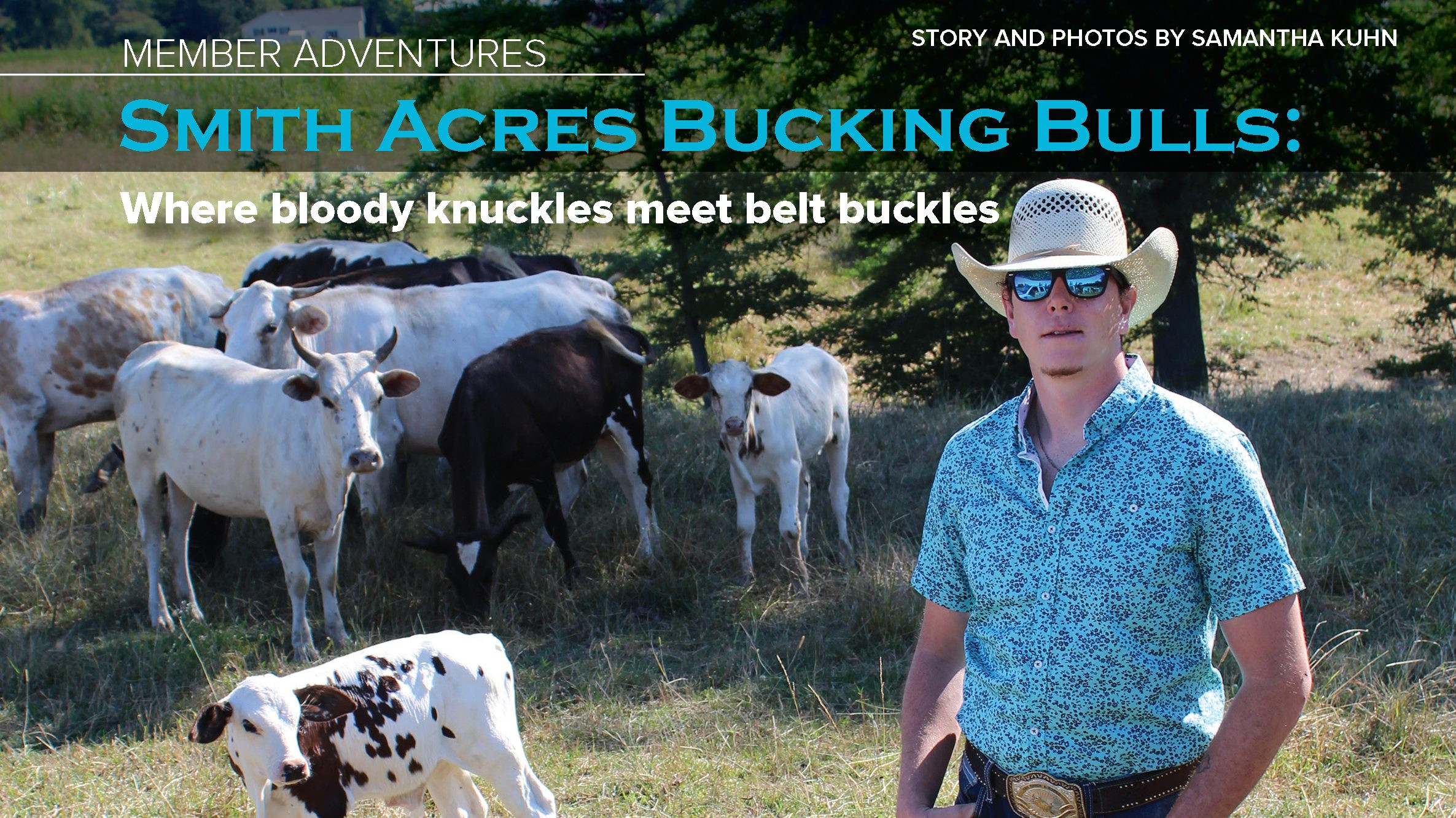 bull feature web post banner