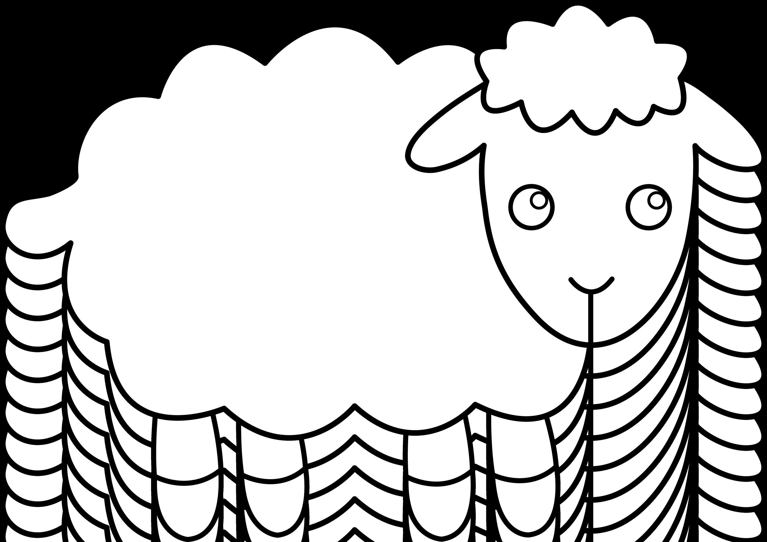 drawing sheep cartoon 3