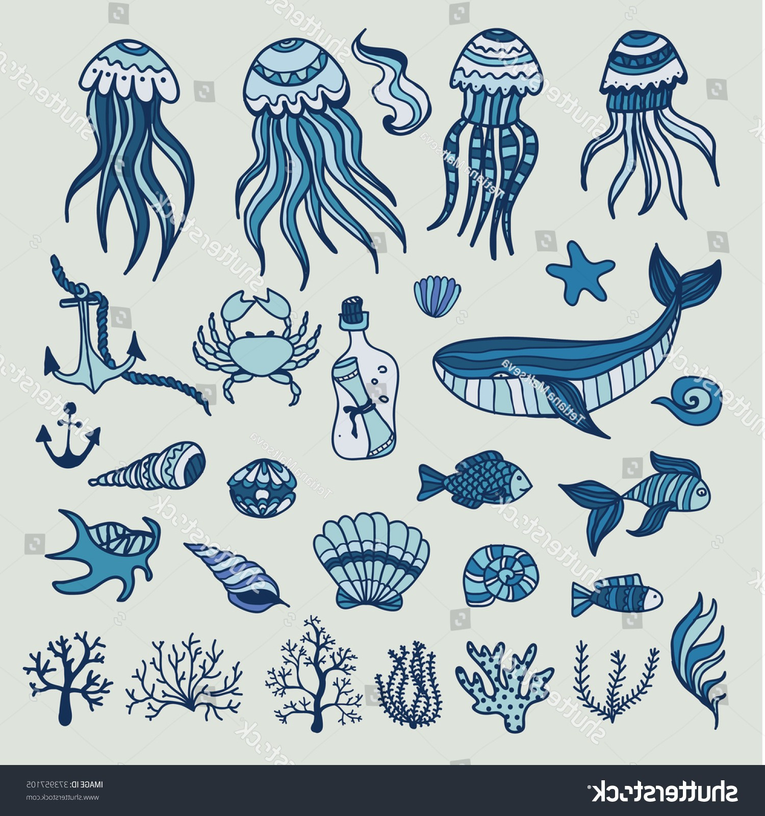 sea animals drawing 3