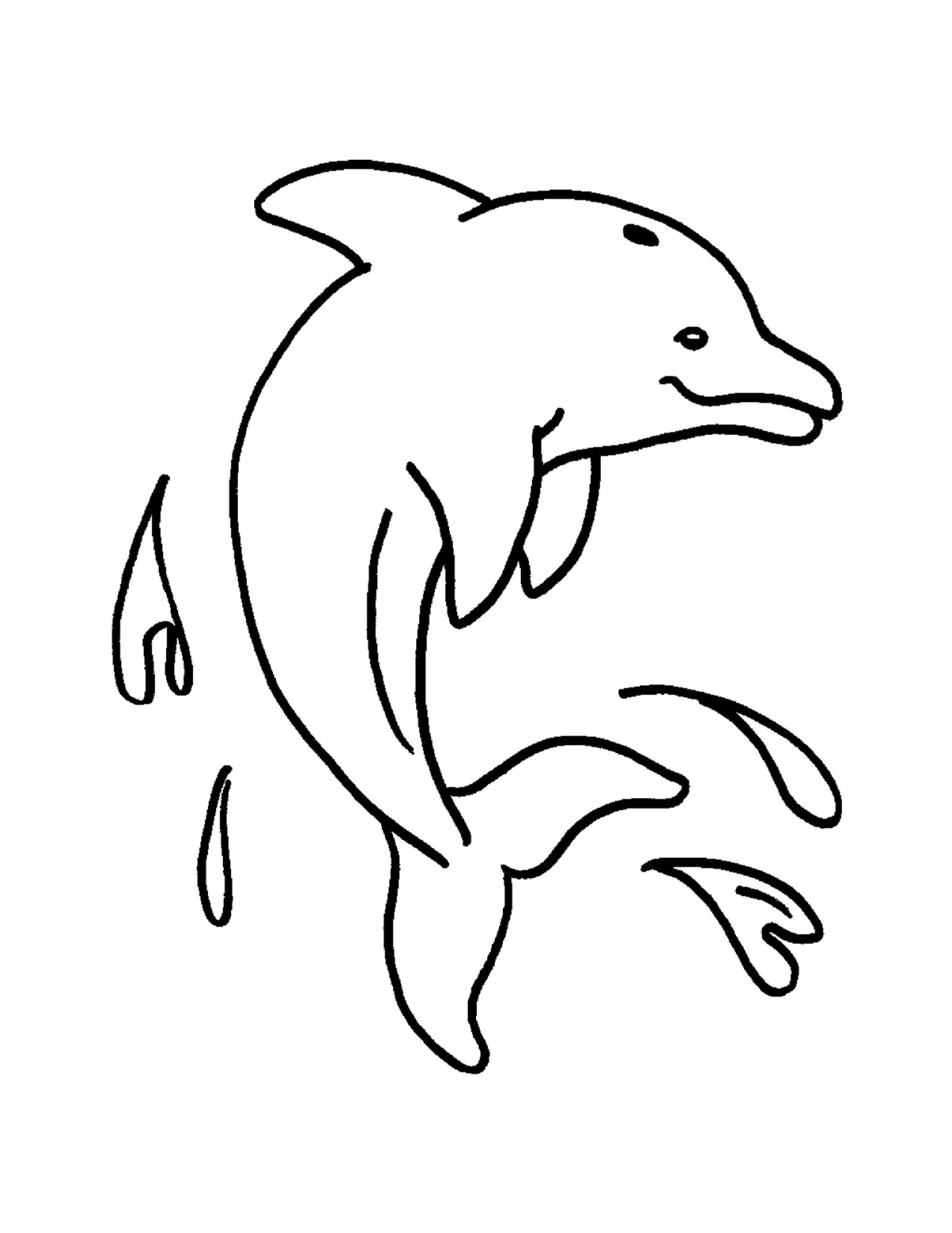 sea animals drawing 31