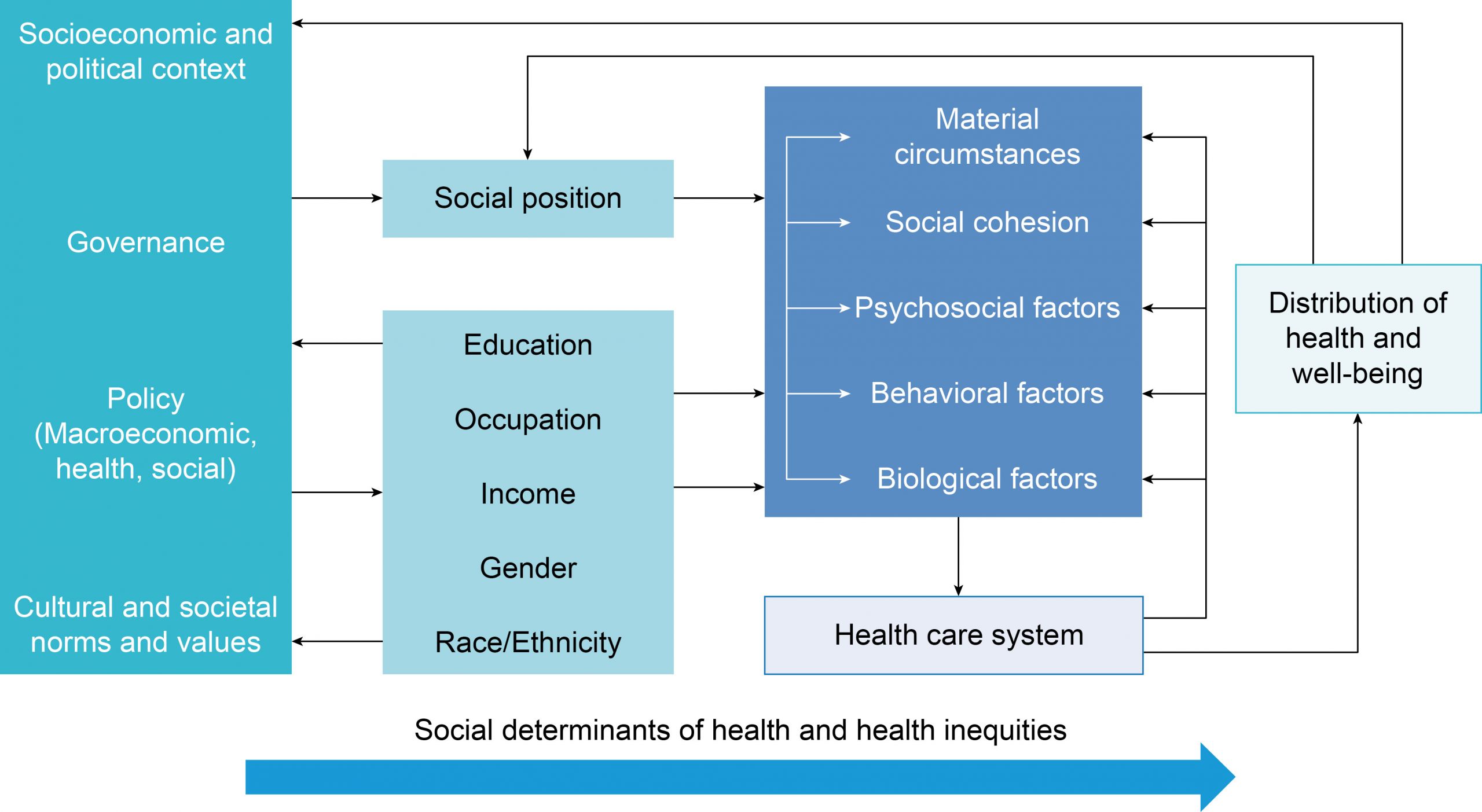 1 3 Figure1 ENG corrected