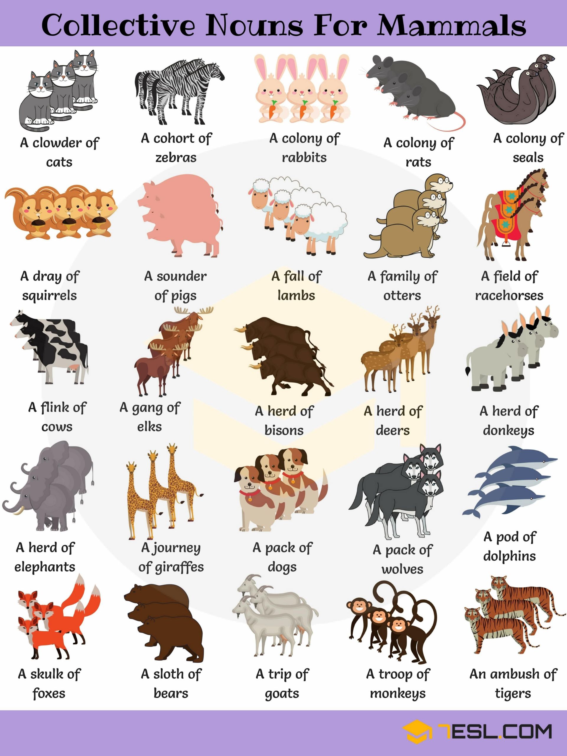 animals esl games