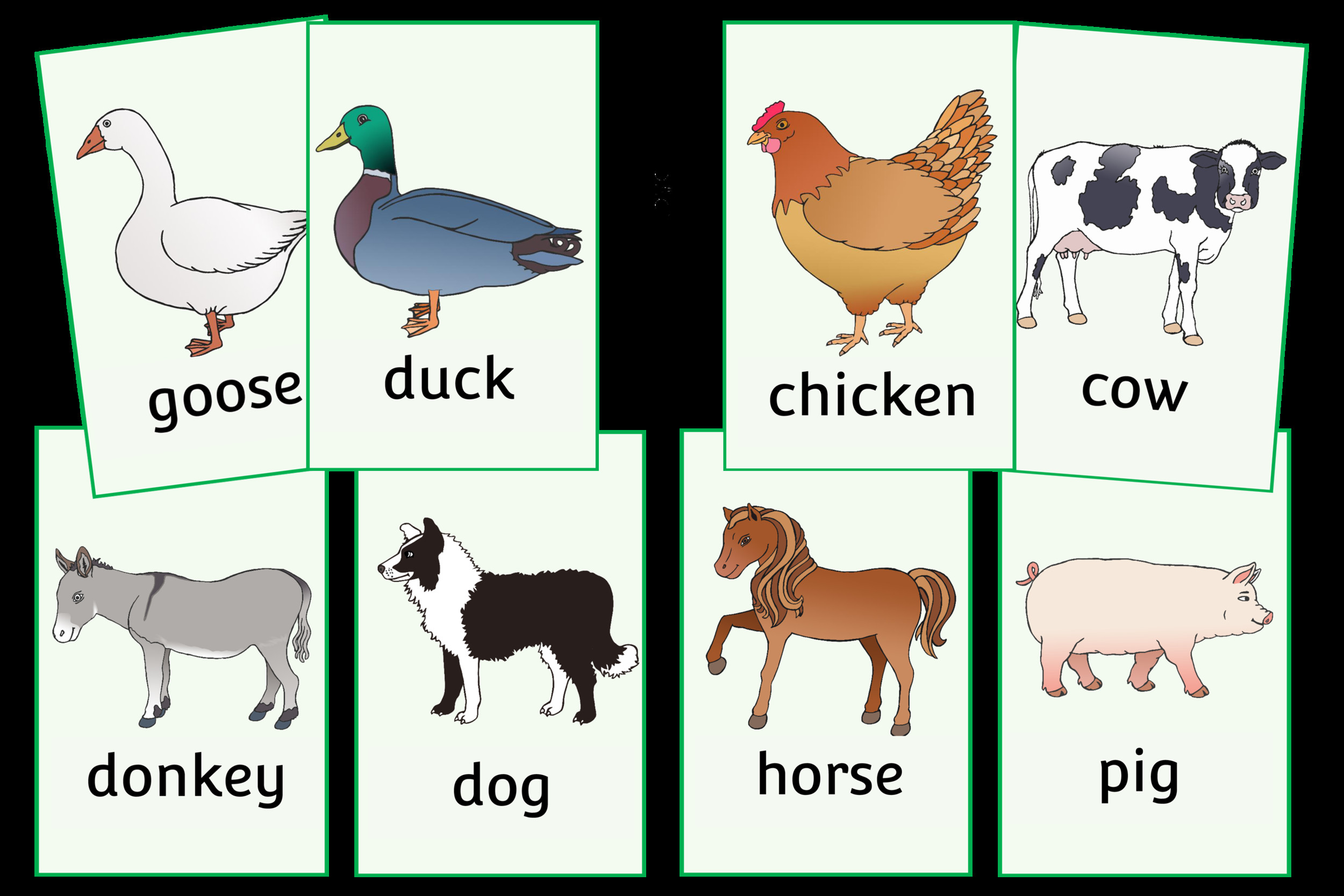 Farm Animals Flashcards Kids