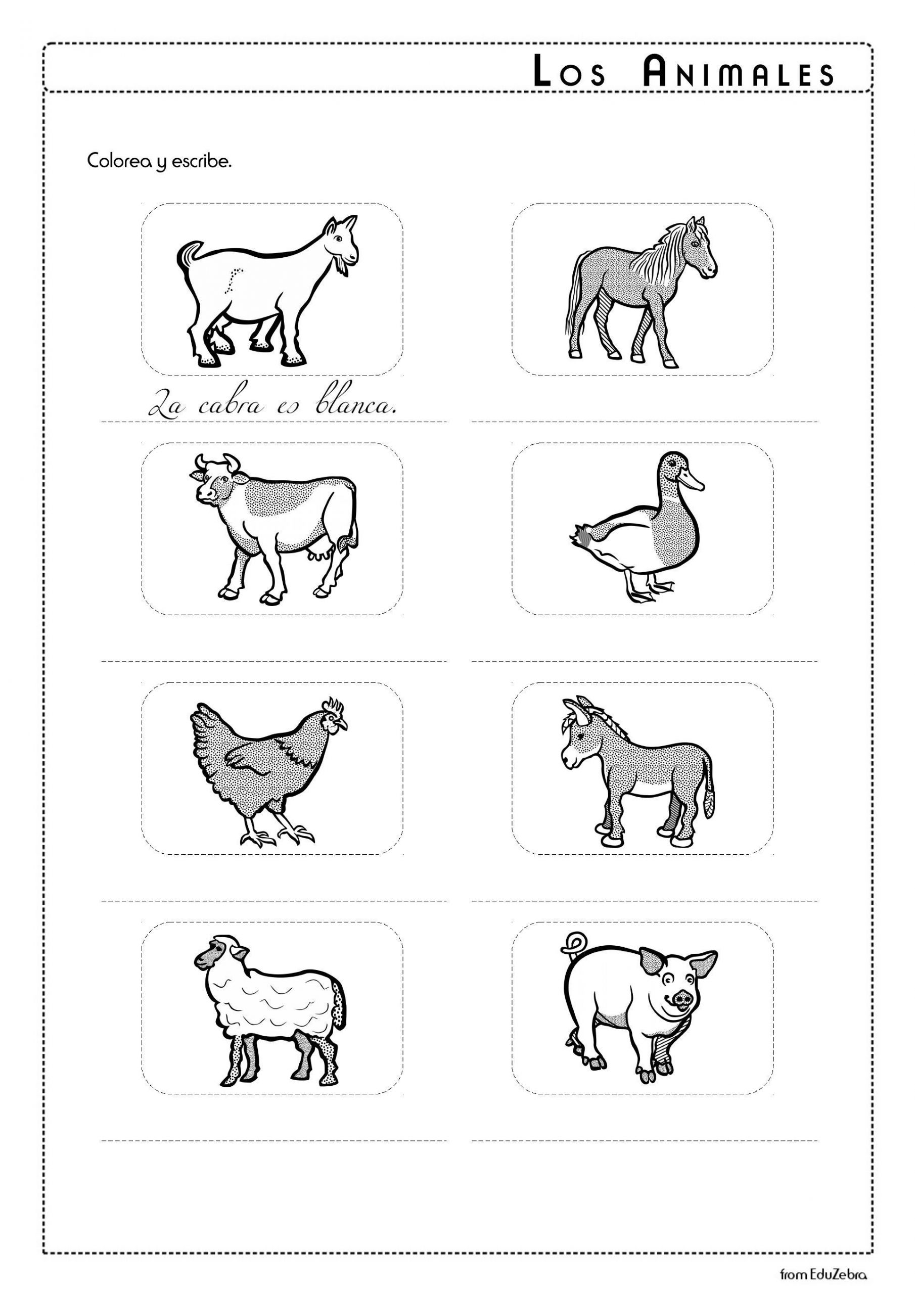 Farm Animals Flashcards Printable