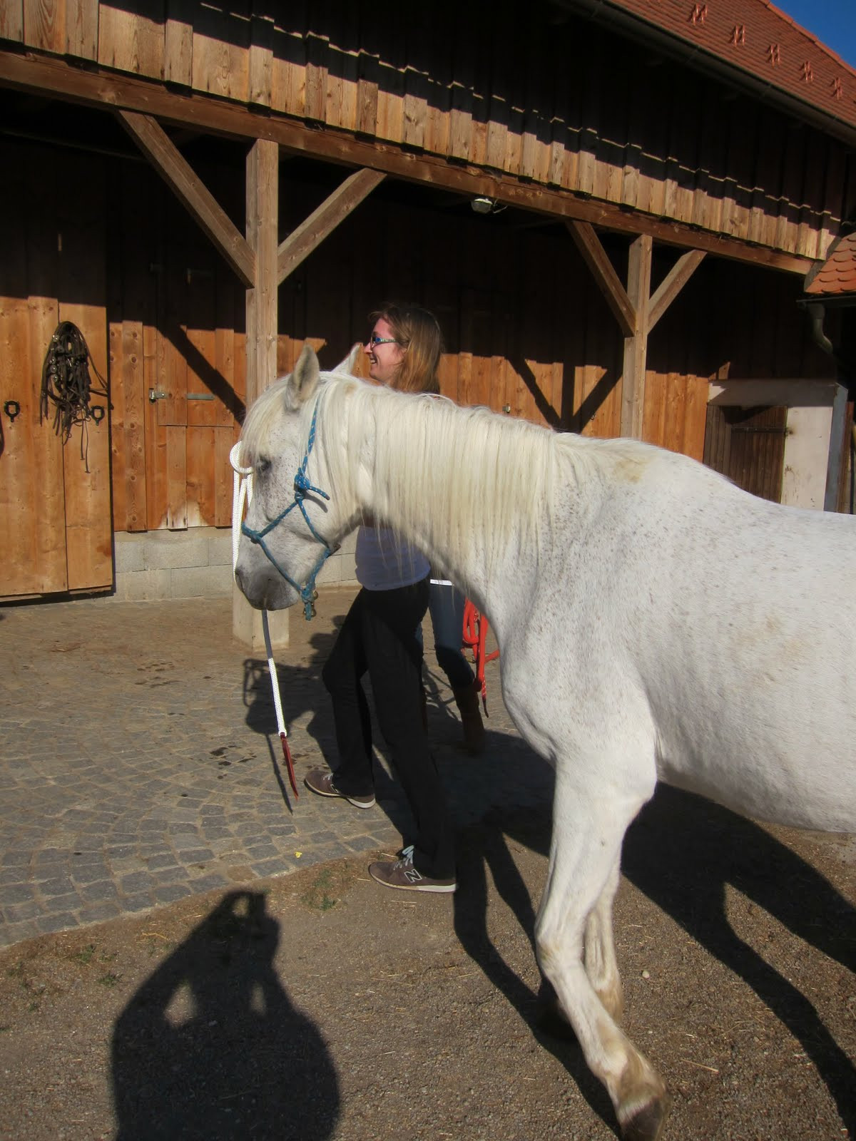 Animal Therapy Horse Farm 2011 092 JPG