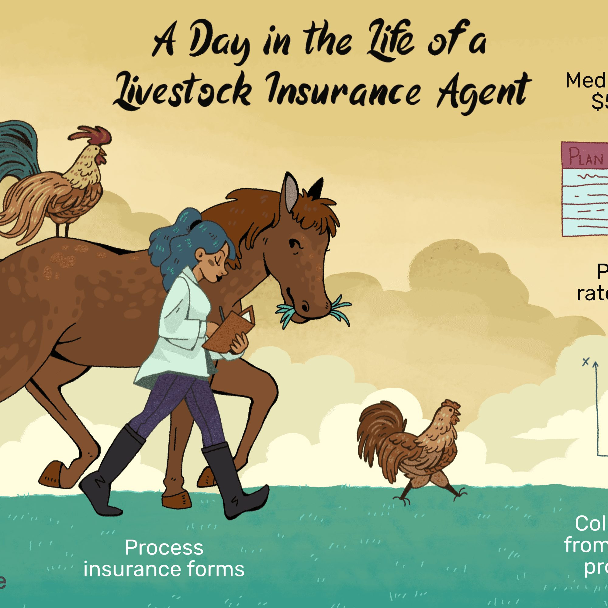 livestock insurance agent FINAL 3bc1a d40a a9ebe0e