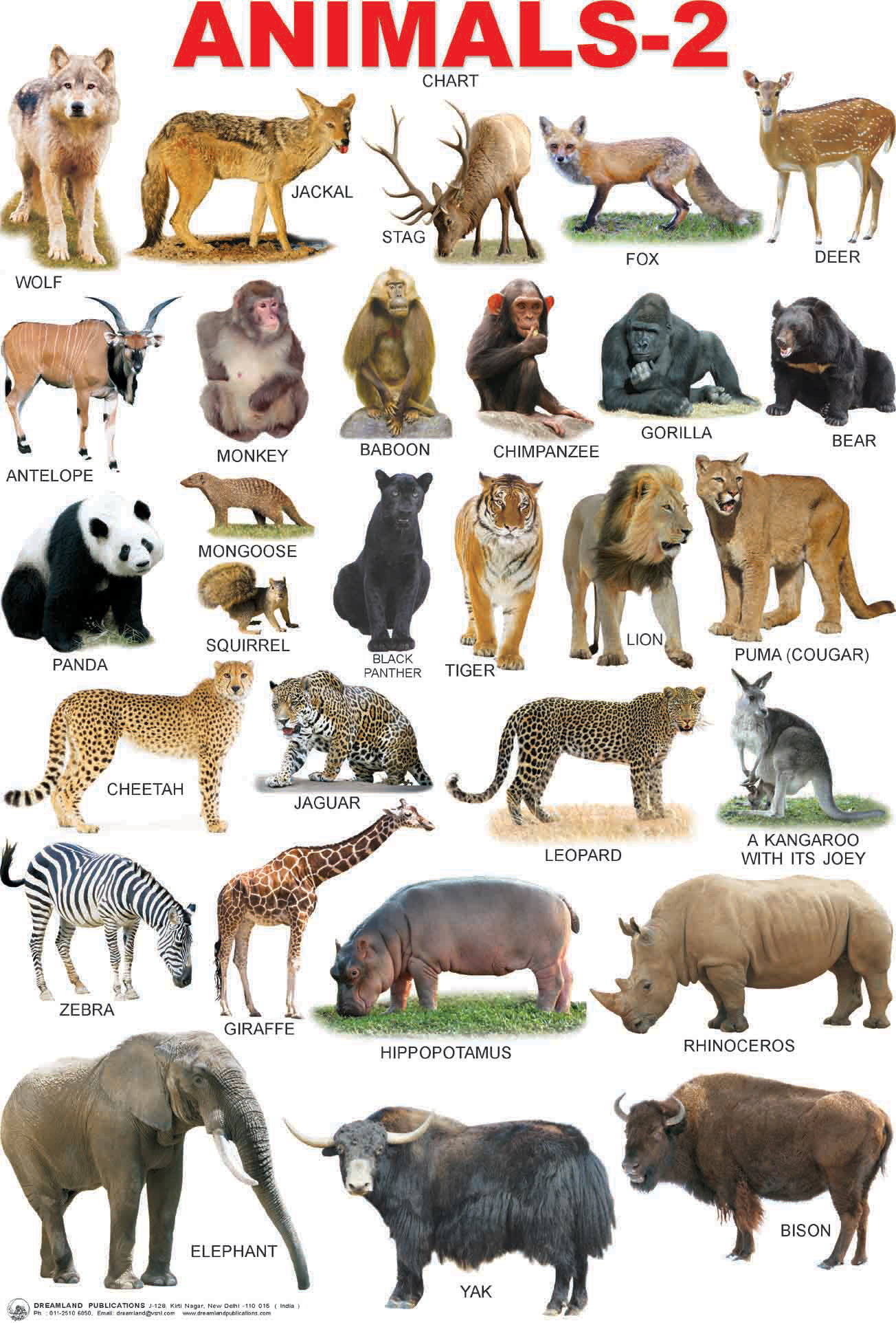 Farm Animals List