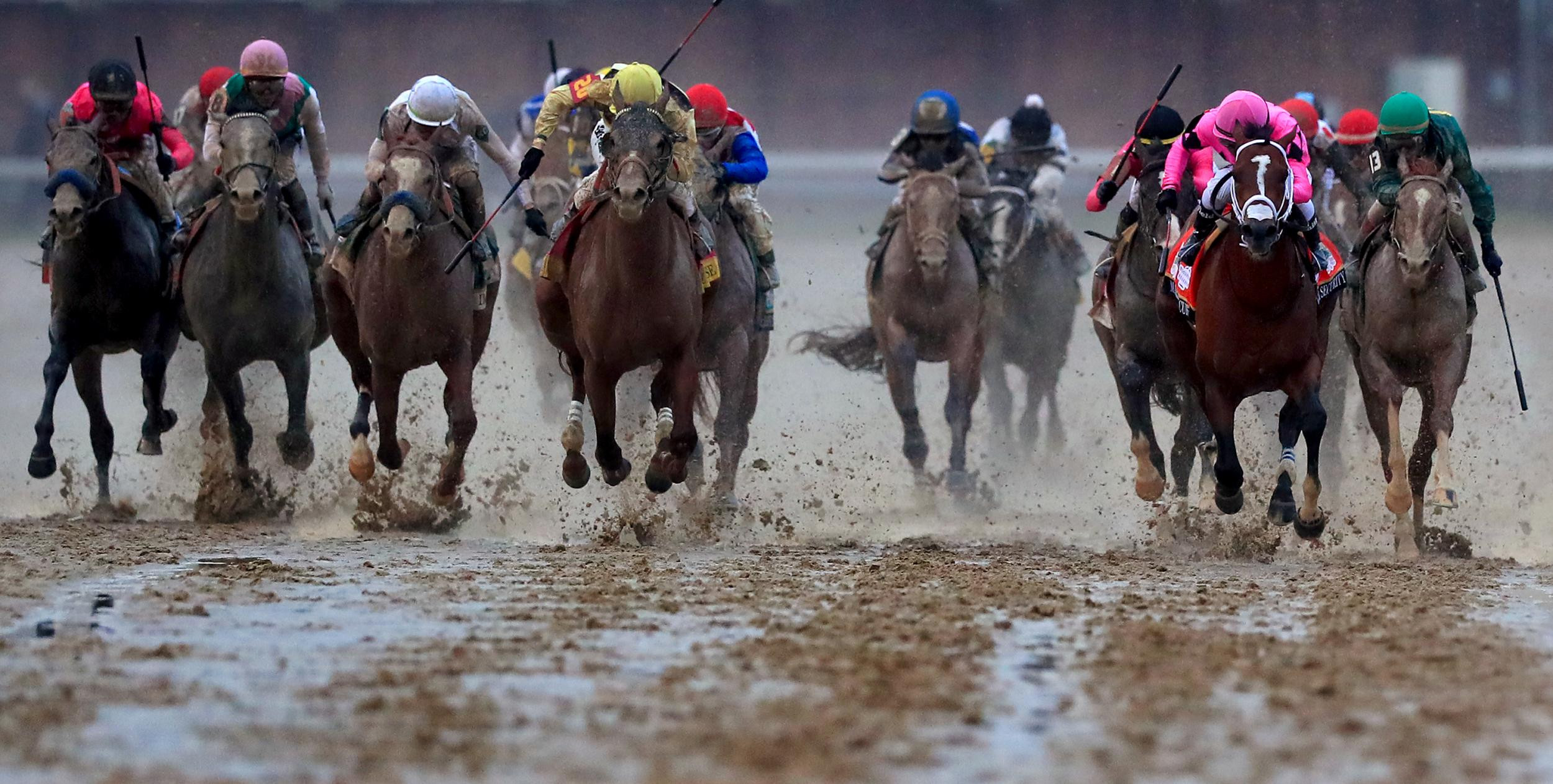 horse racing