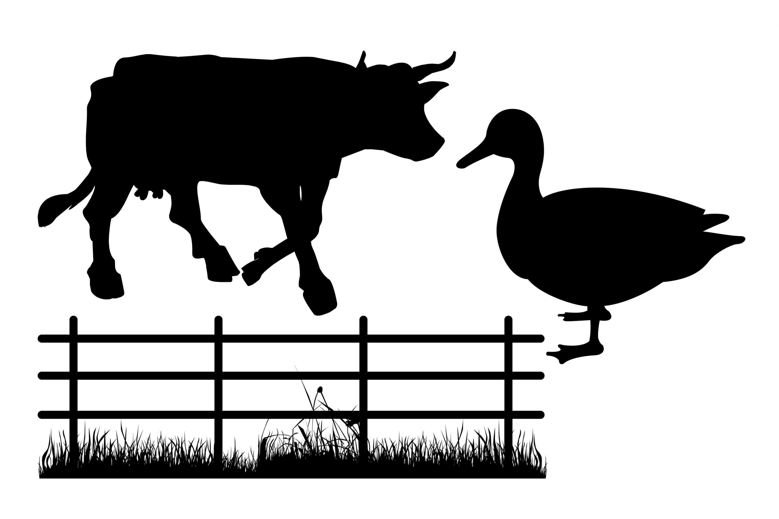farm animal silhouette 19