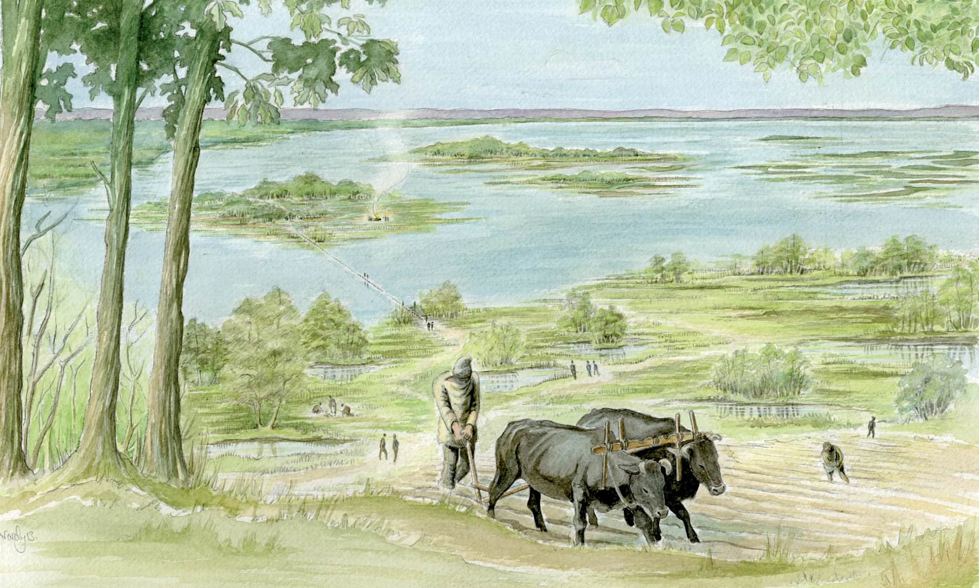 Farm Animals Paintings Goat