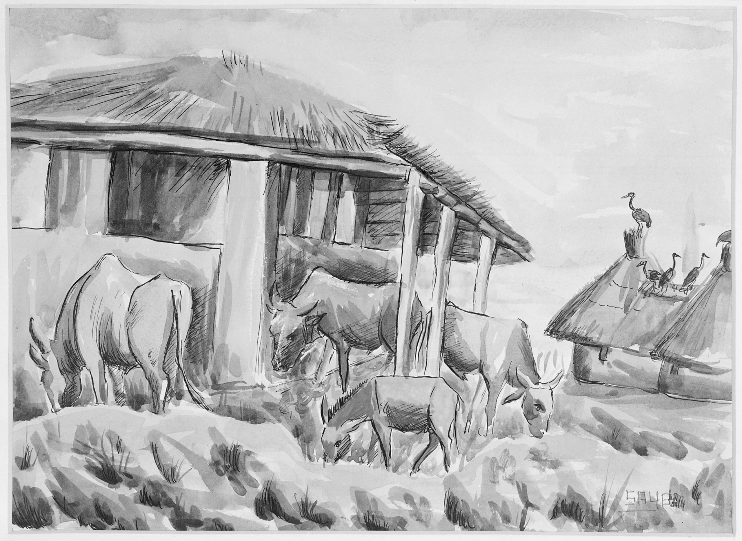 Farm Animals Paintings