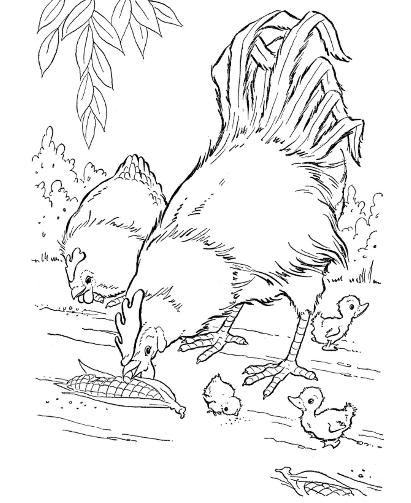 free farm animal coloring pages 36