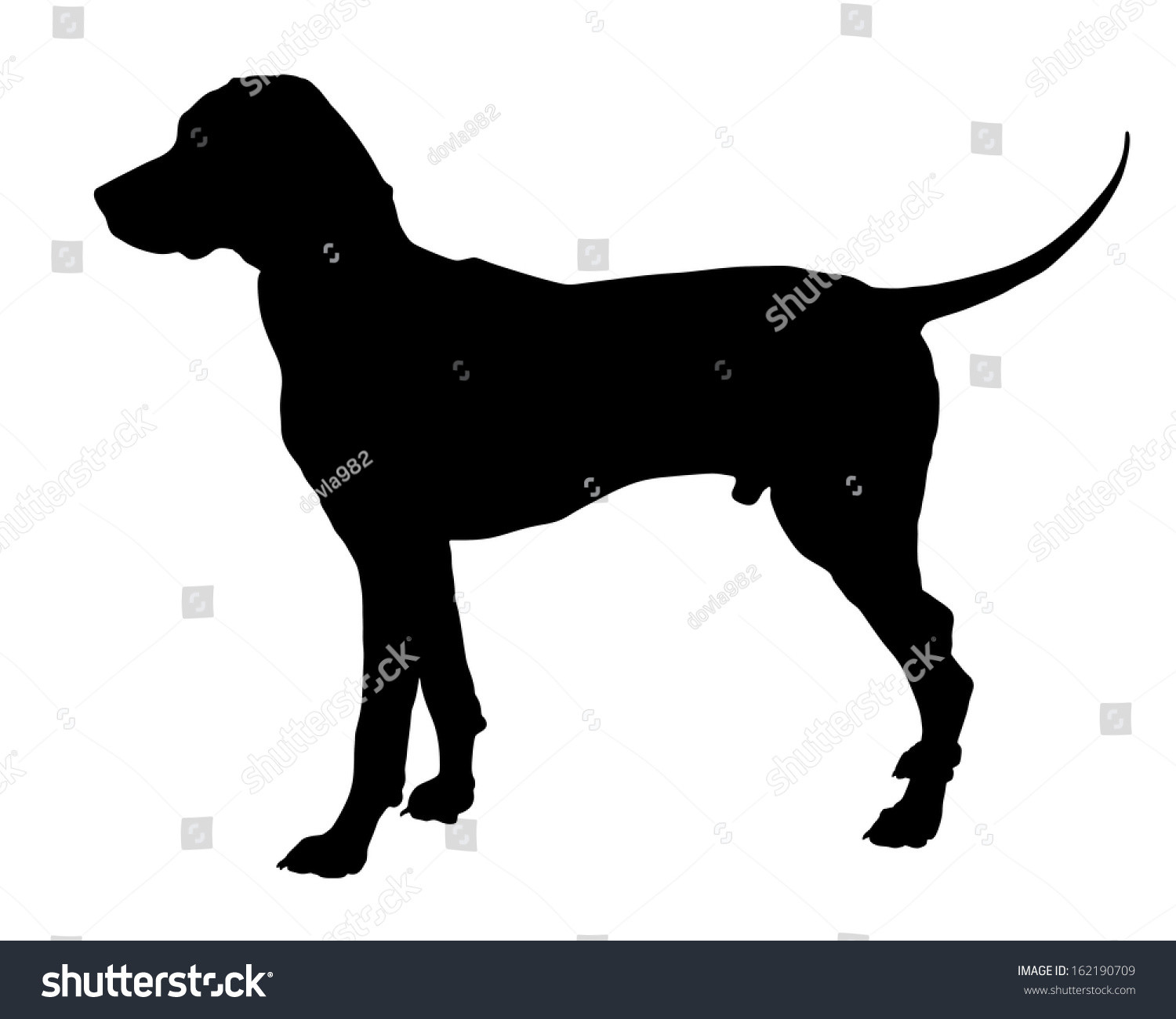 stock vector dog dalmatian breed vector silhouette isolated on white background black silhouette od hunter dog