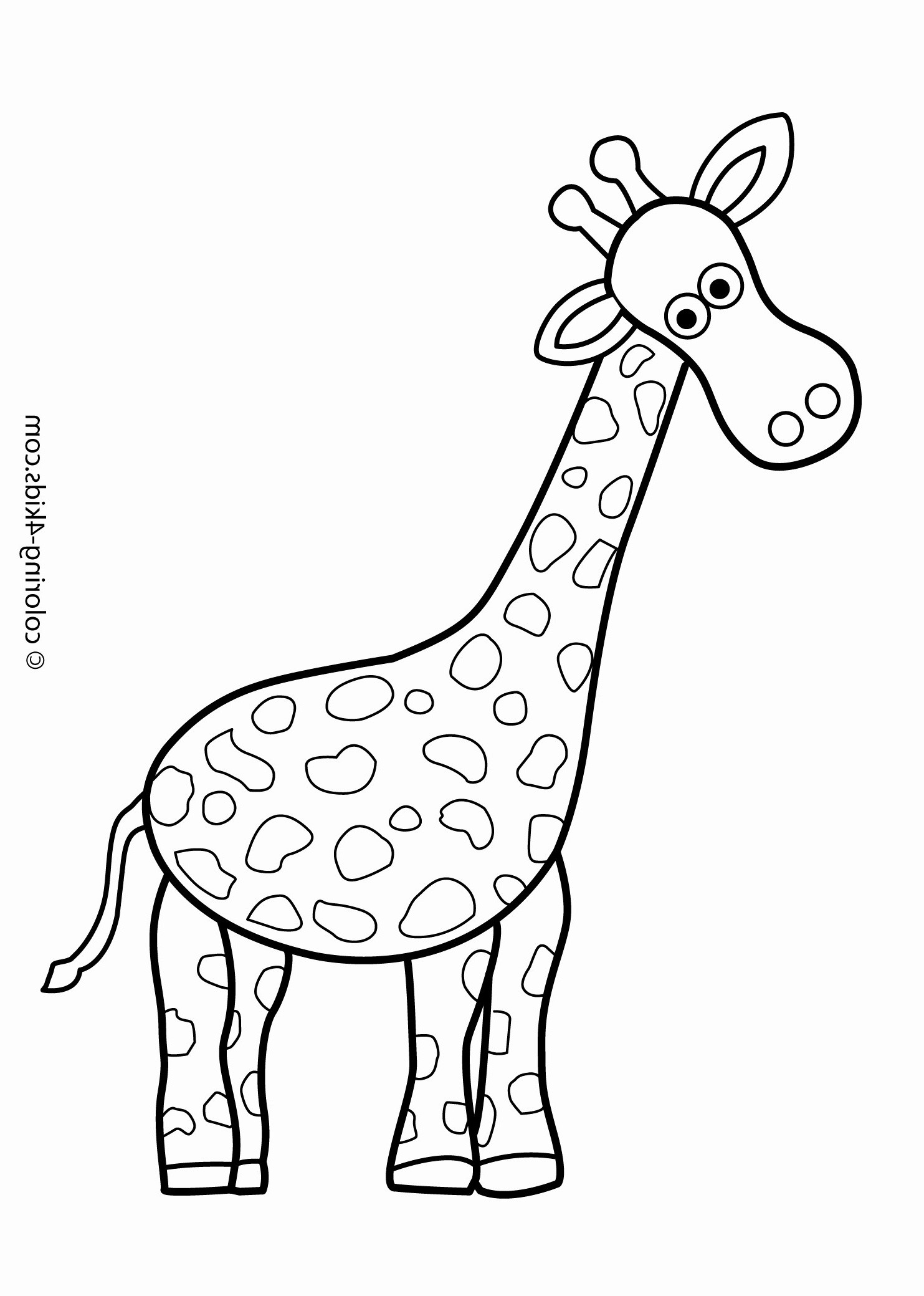 farm animals coloring picture cool photography 48 new animal coloring pages of farm animals coloring picture