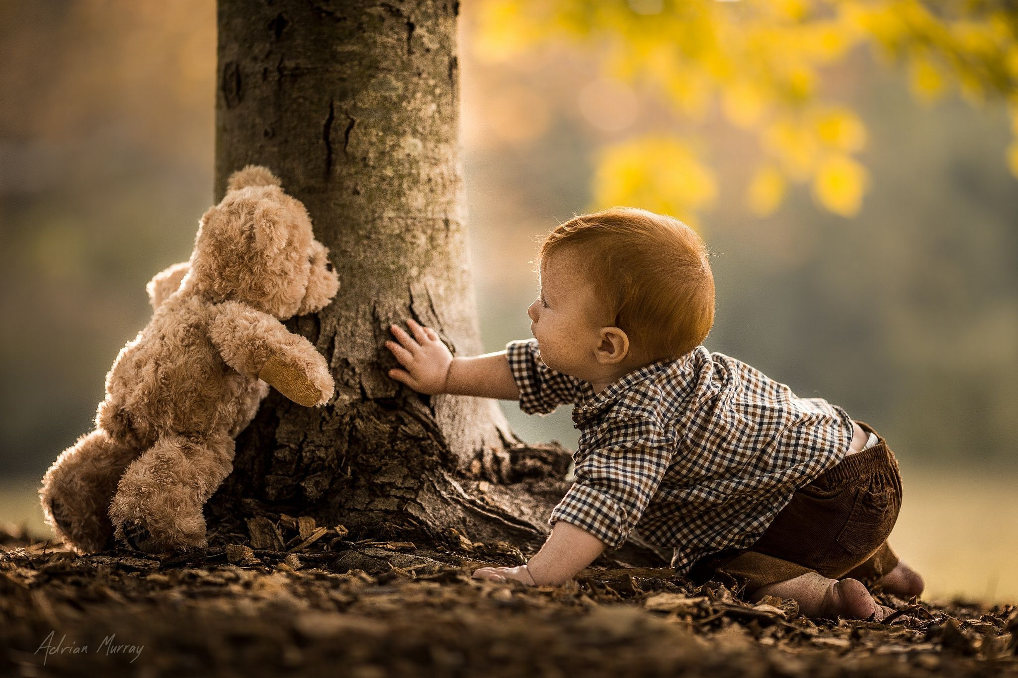 Farm Animals Photography Children