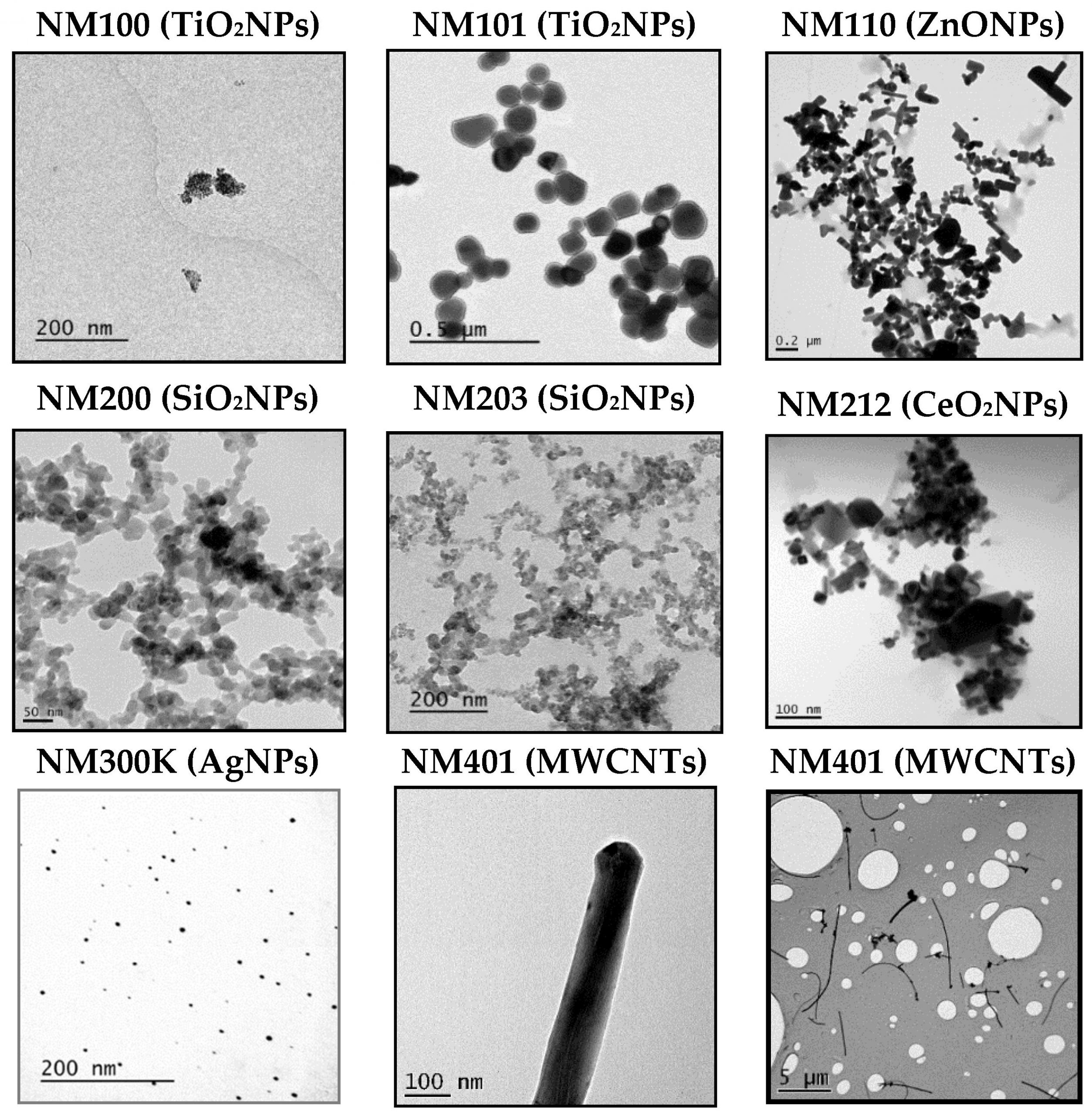 nanomaterials 09 g001