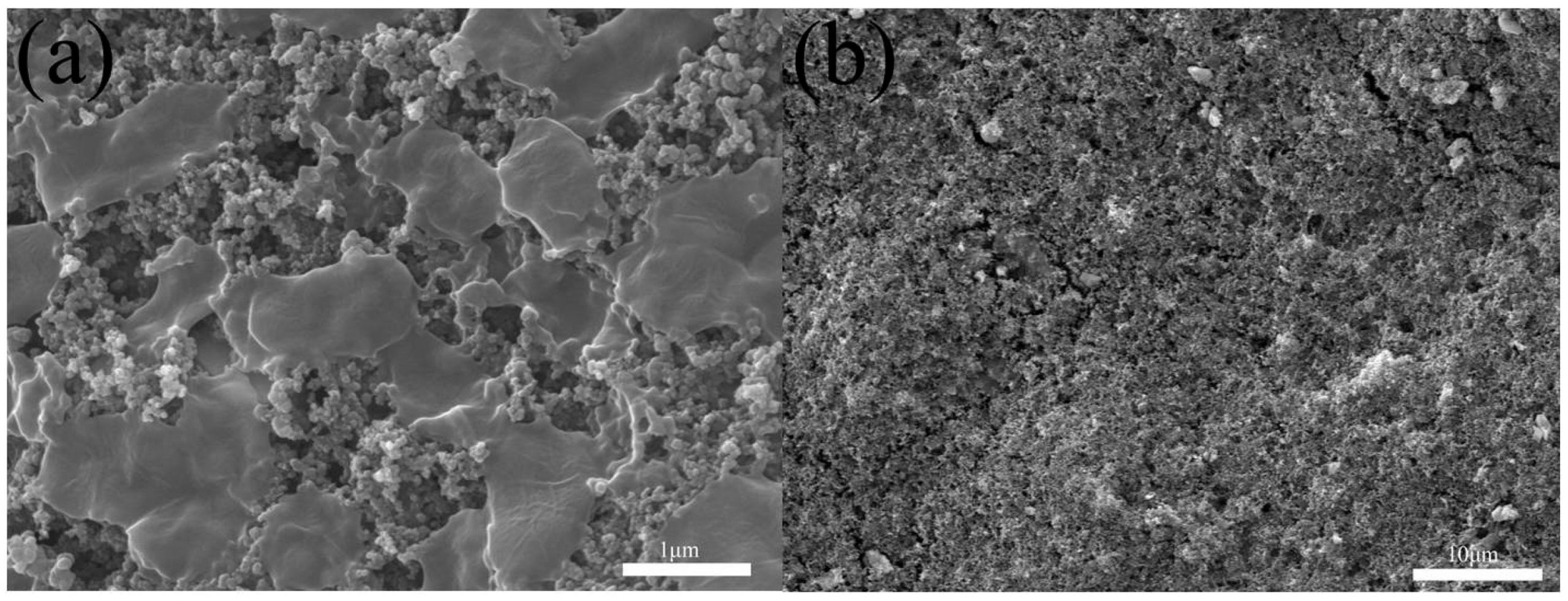 nanomaterials 10 g012