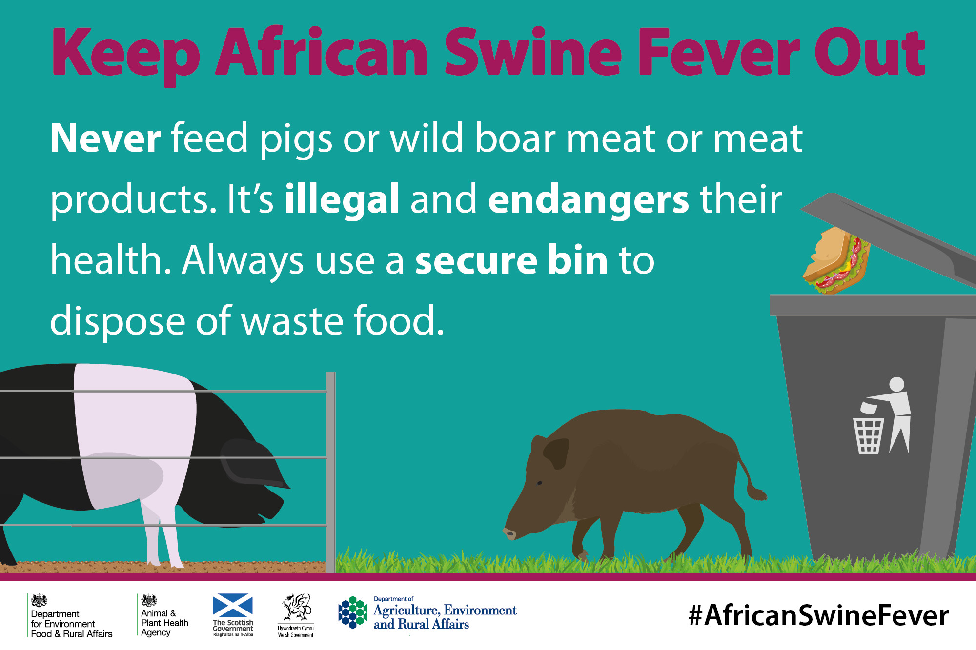 poster asf dont feed meat use secure bin uk
