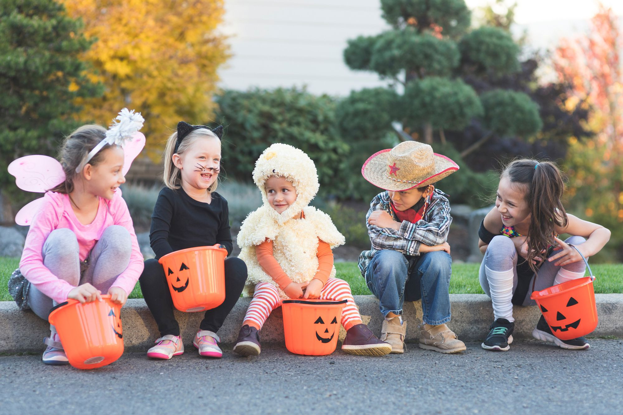 Farm Animals Preschool Costumes