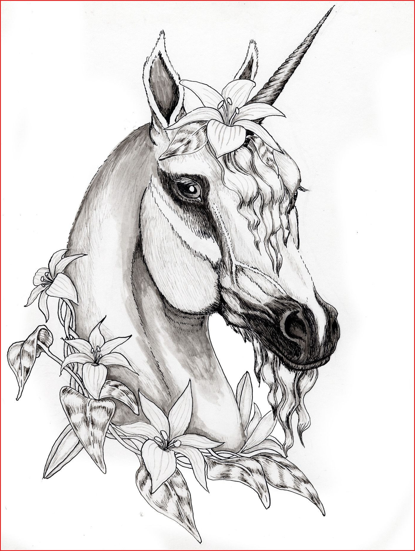 coloring page of animals for adults unique image horses drawings coloring pages horses coloring pages for new of coloring page of animals for adults