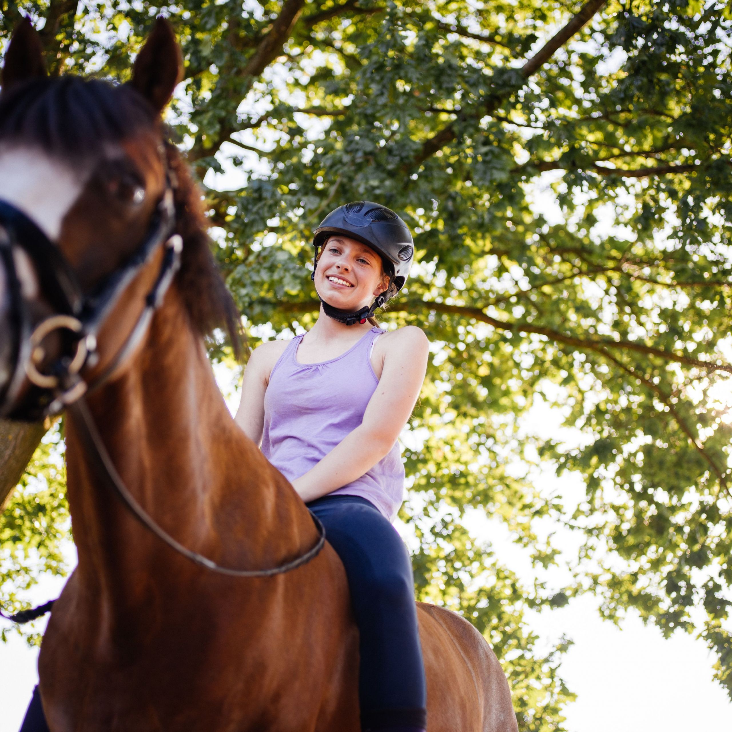girl horserider looking lovingly at the horse she is on 57d df78c71b