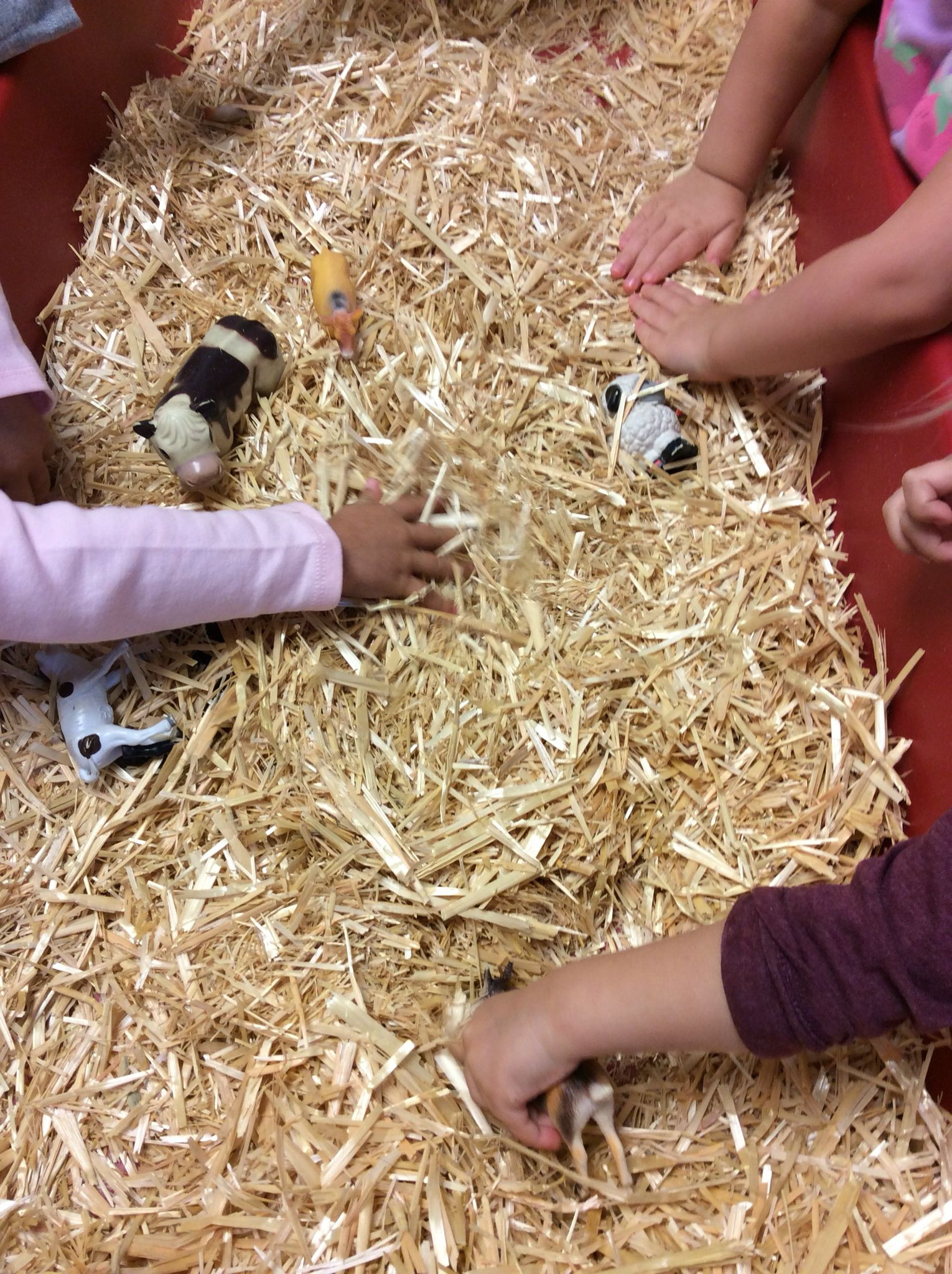 Farm Animals Preschool Sensory