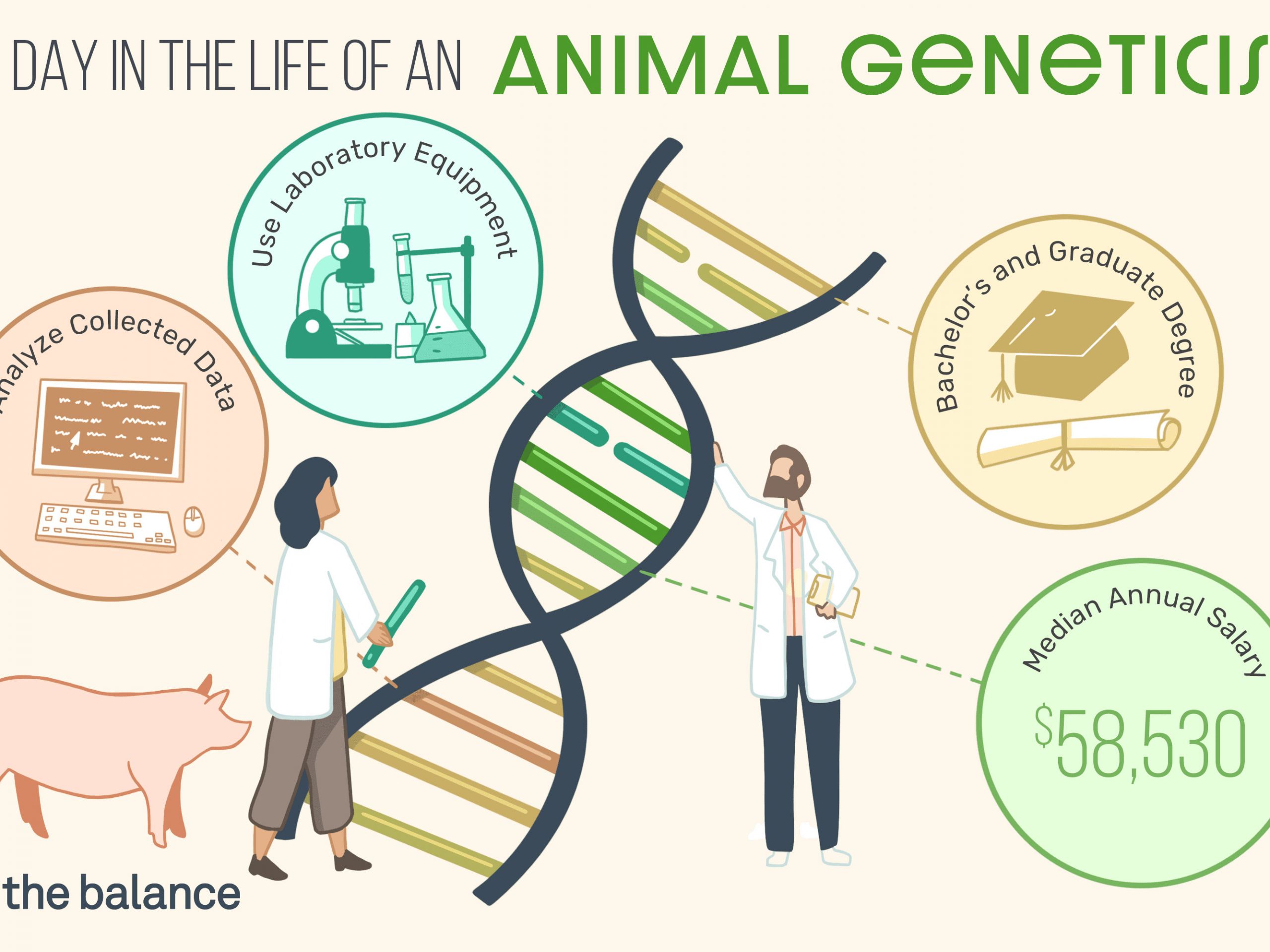 animal geneticist final 92da9ca3b5d84ca4b3b78ec94b3691c0