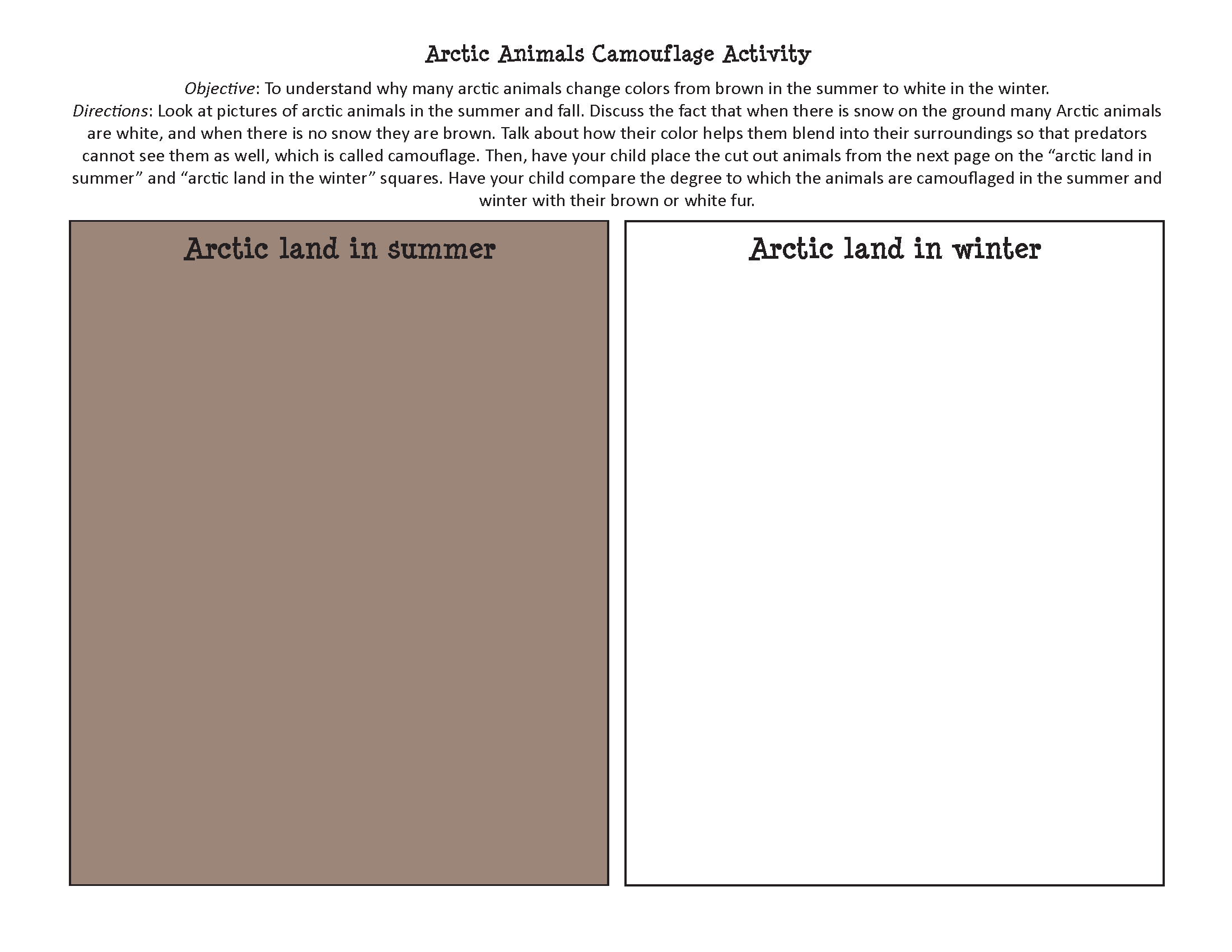 Arctic Animals Camouflage Activity Page 2