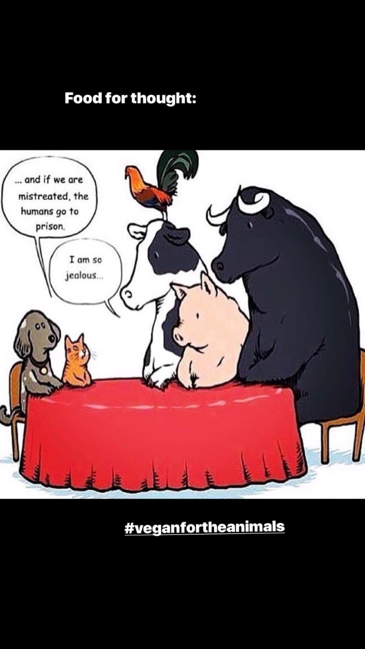 Farm Animals Quotes Funny