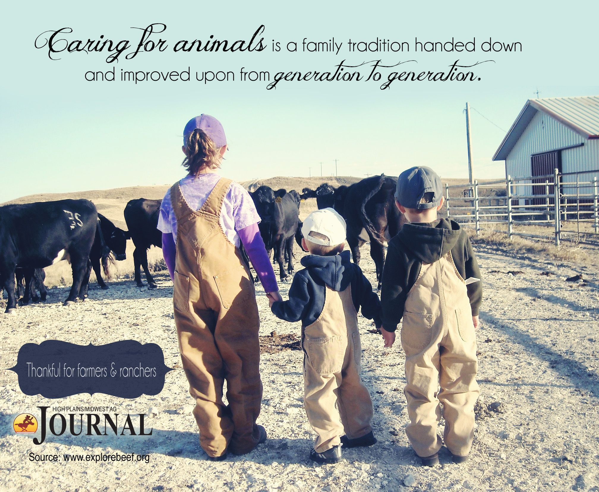 Farm Animals Quotes Life
