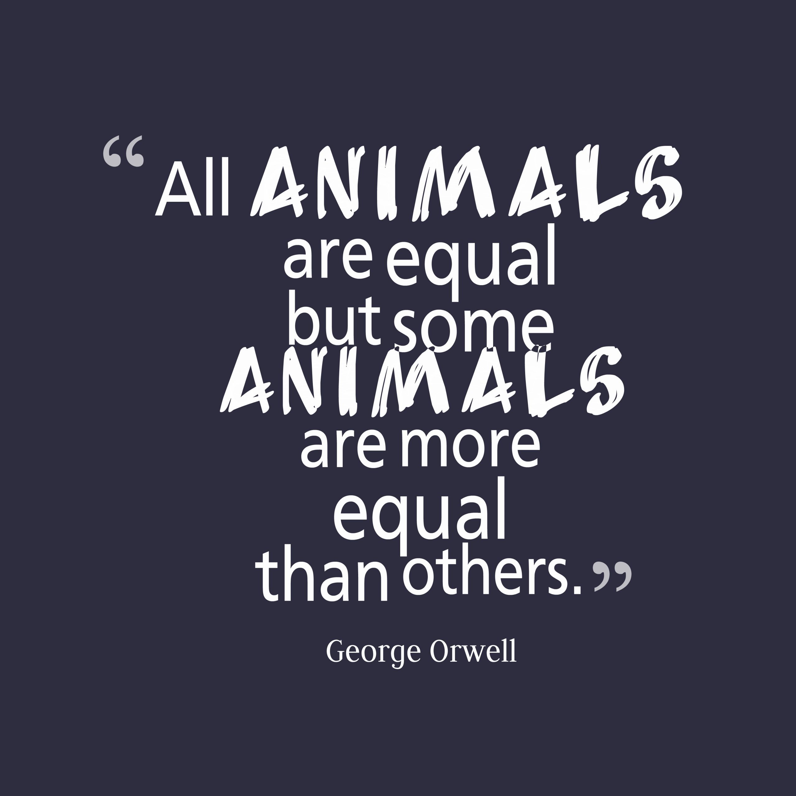 Farm Animals Quotes