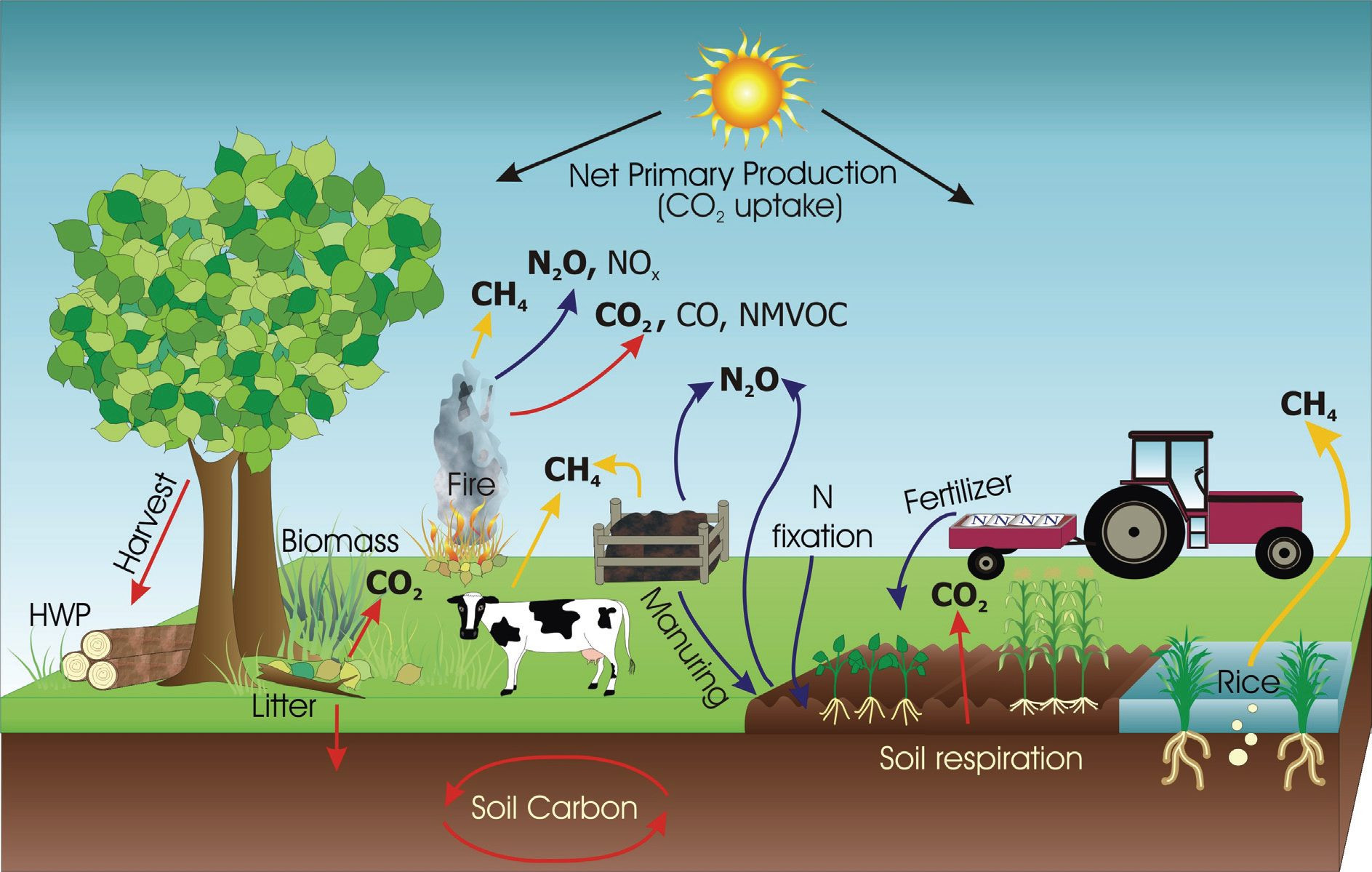 farm emissions sources