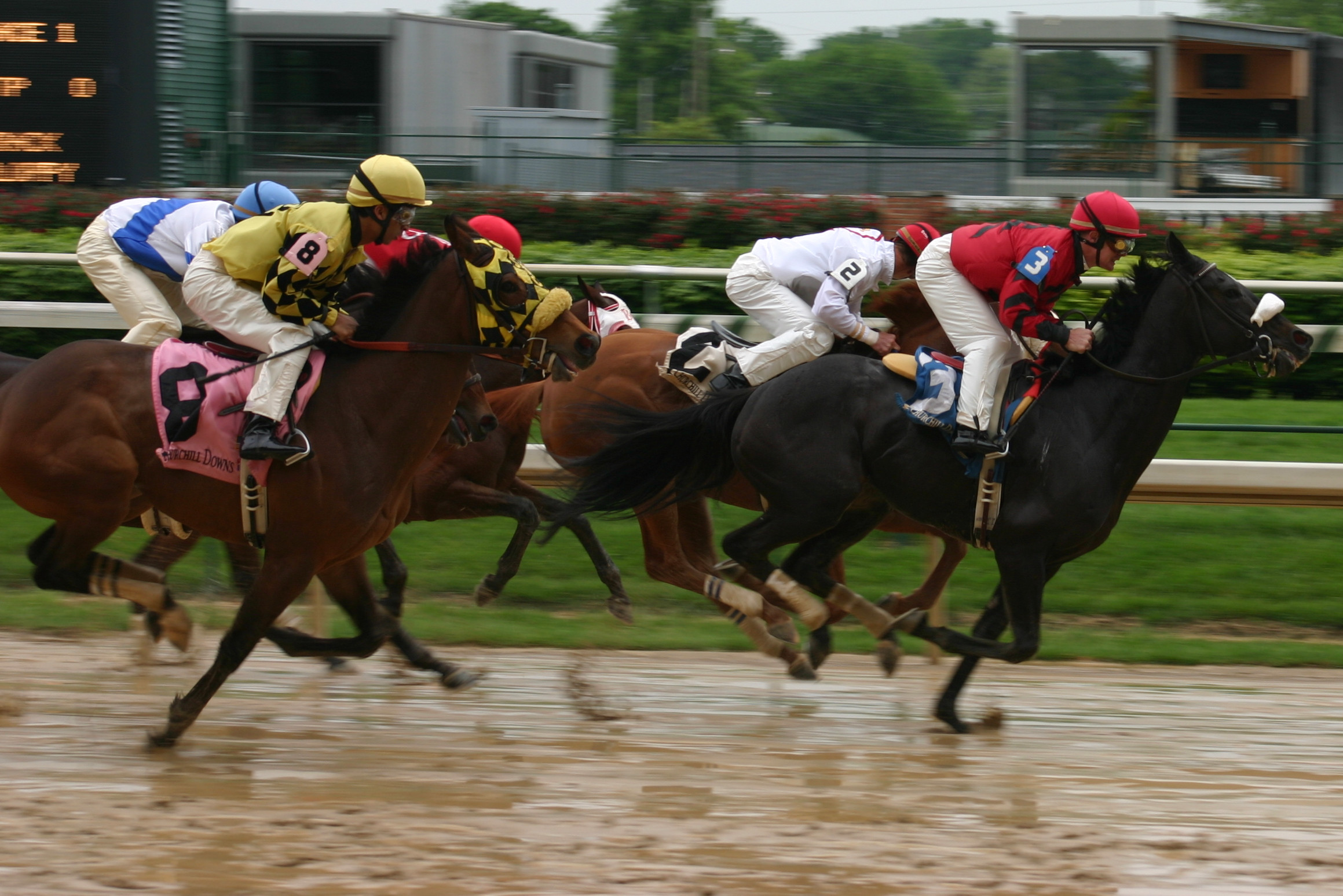 Horse race Churchill Downs 2008 04 18