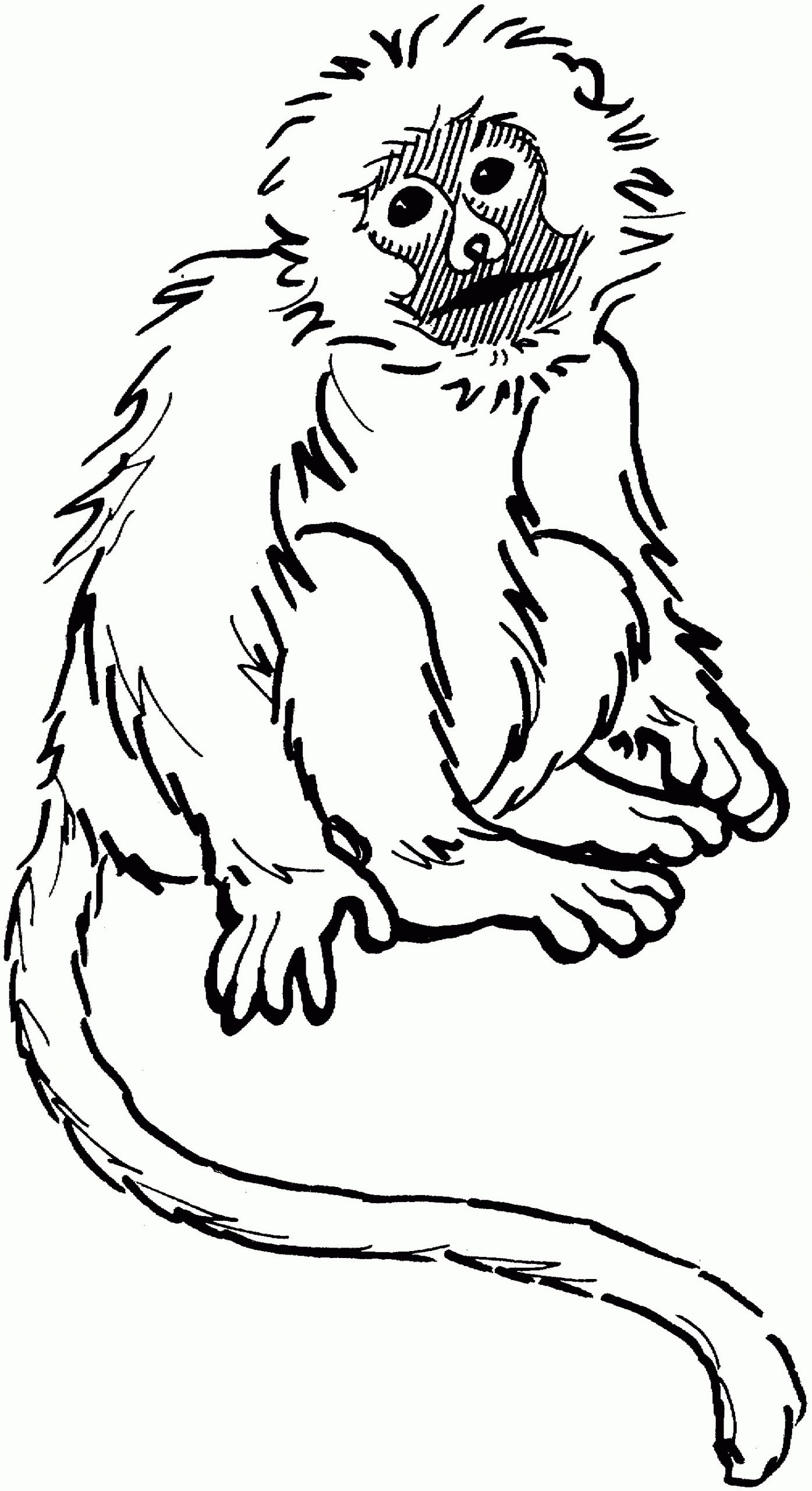 spider monkey coloring page 1