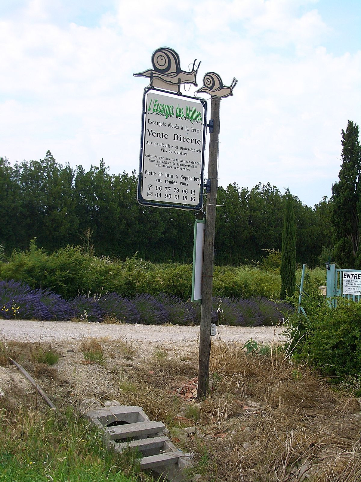 1200px Eyragues l Escargot des Alpilles 5738