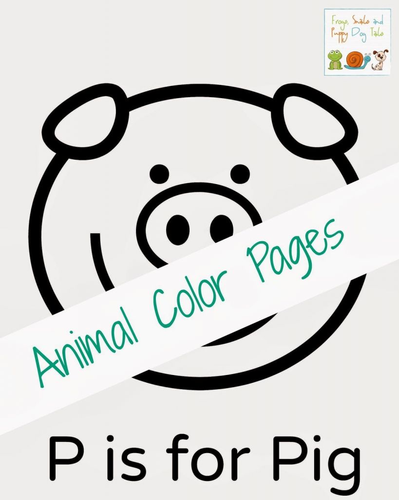 about-farm-animals-crossword-labs