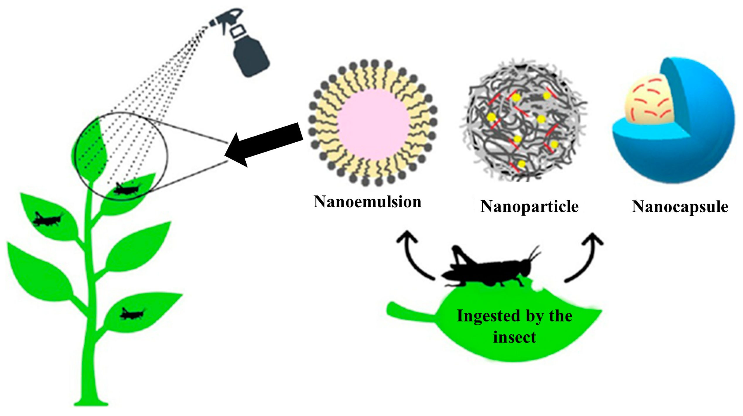 nanomaterials 09 g002