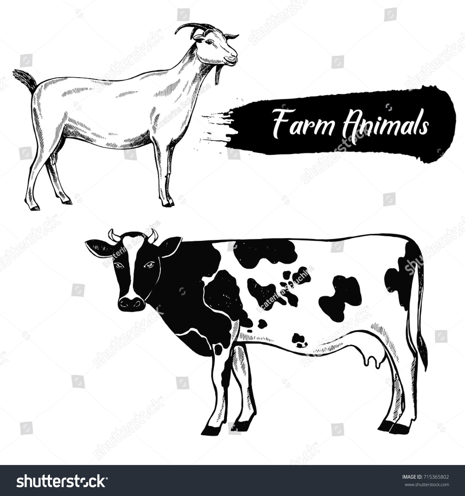 stock vector hand drawn sketch style goat and cow vector illustration isolated on white background