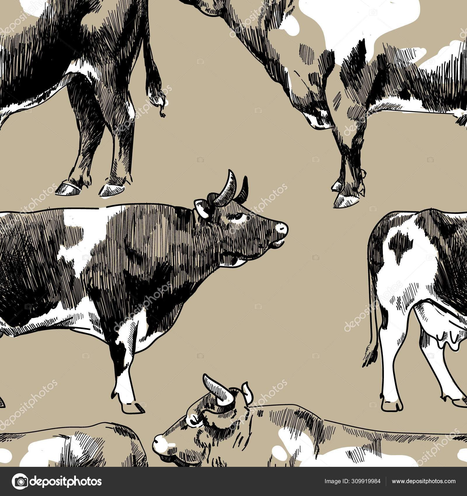 depositphotos stock illustration seamless pattern cows freehand drawing