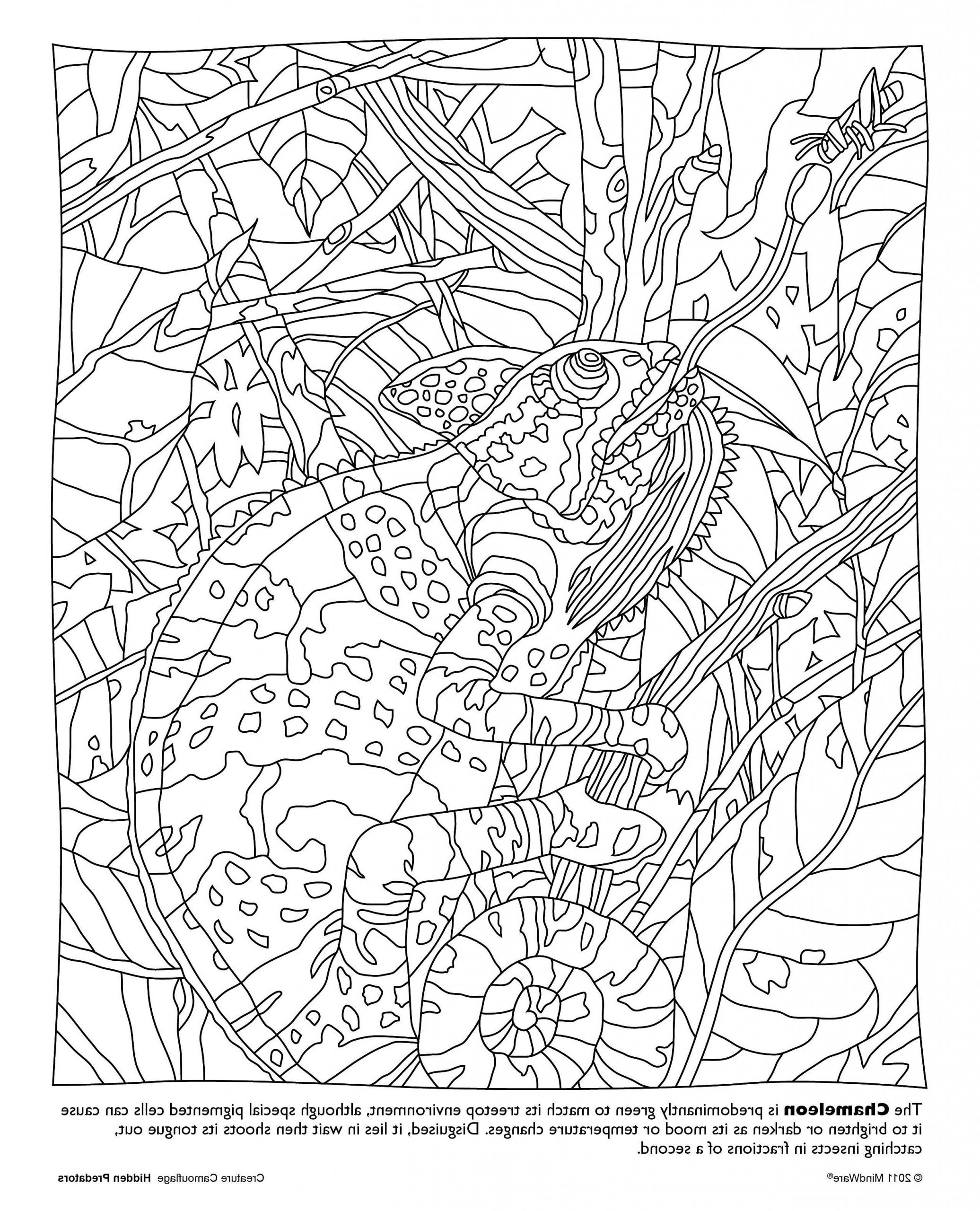 first day of school coloring page for preschoolers new photos elegant pirate pete coloring page nocn of first day of school coloring page for preschoolers