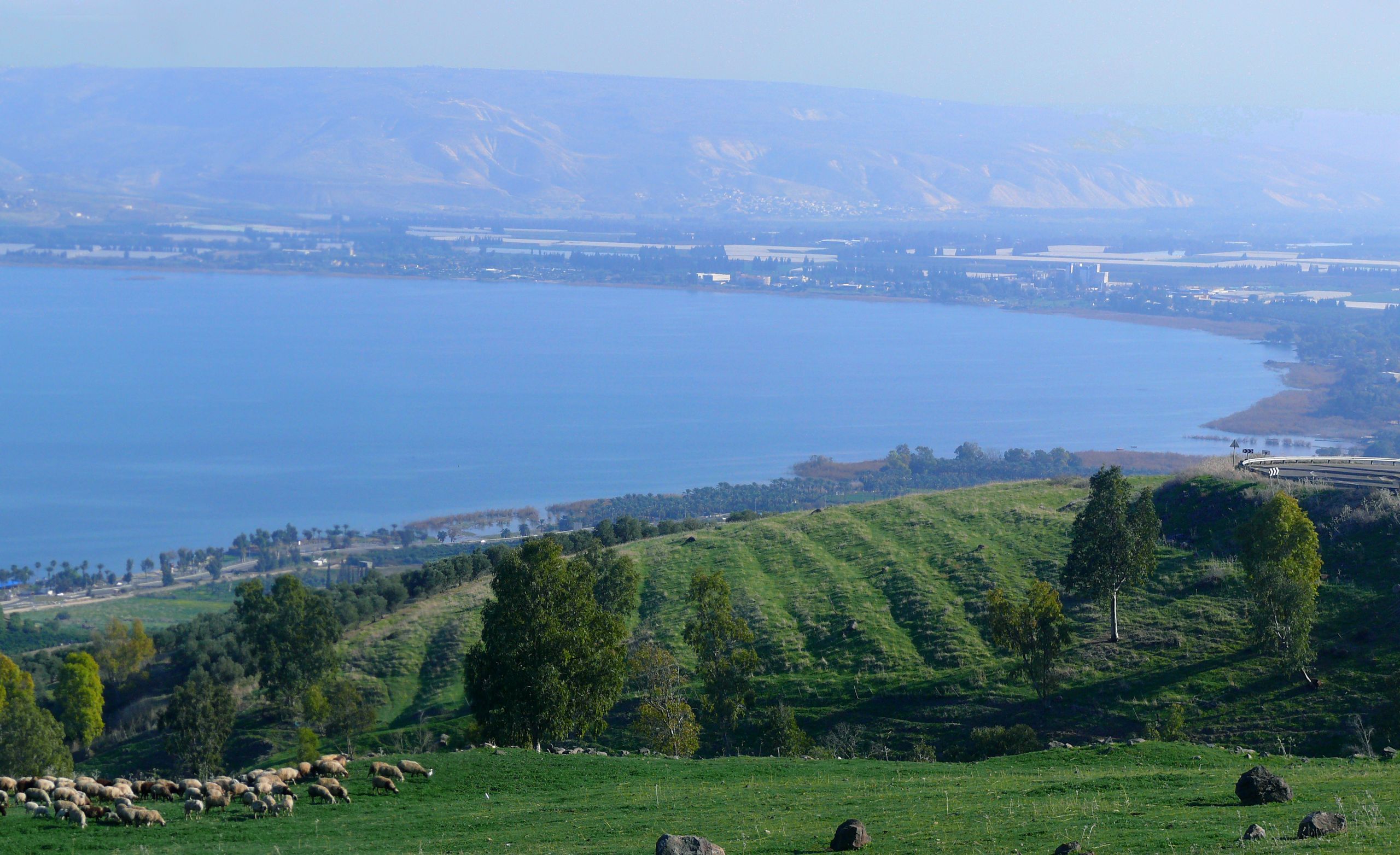 Kinneret cropped