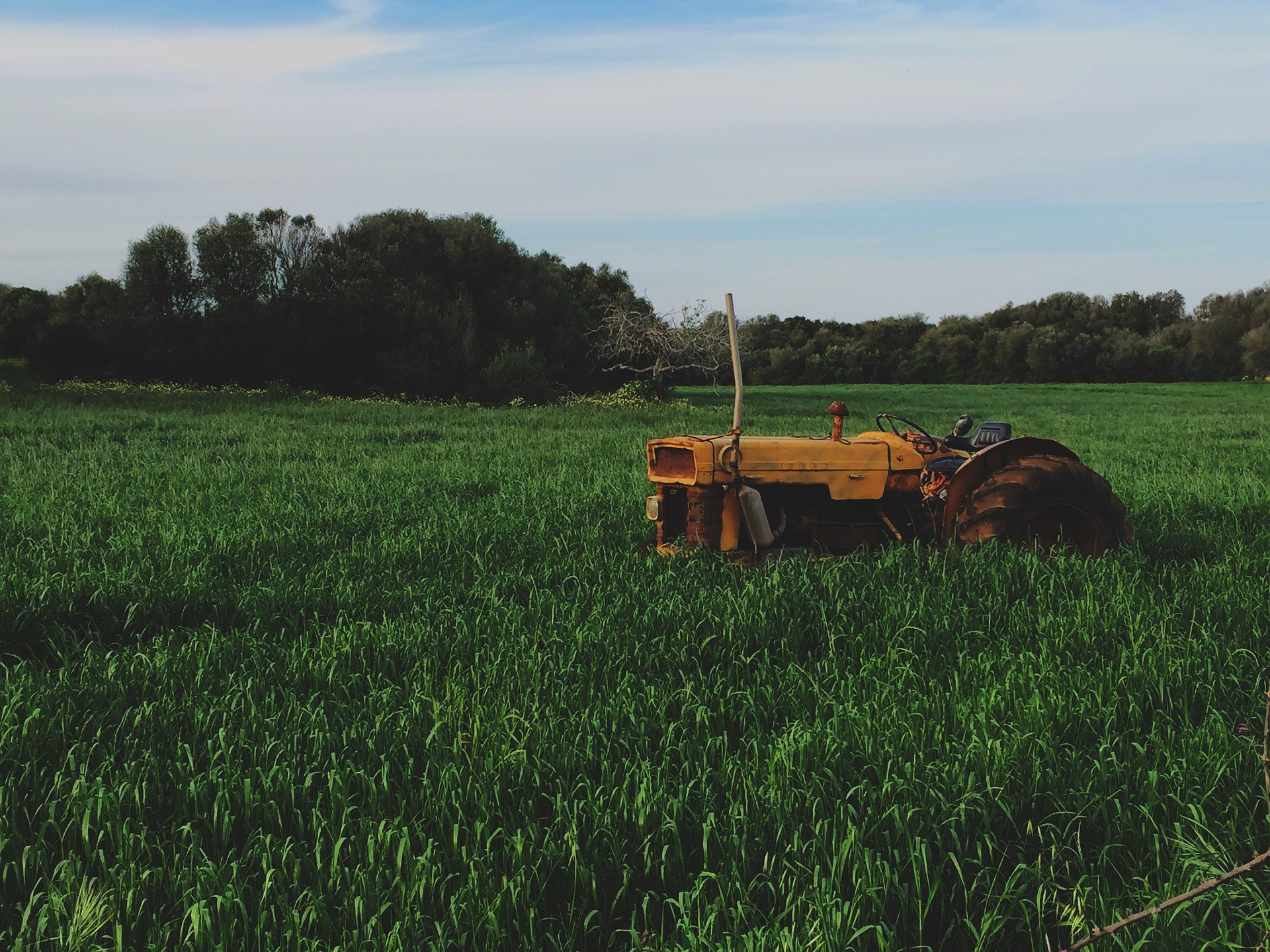 Farmer Quotes Farm Life Animals