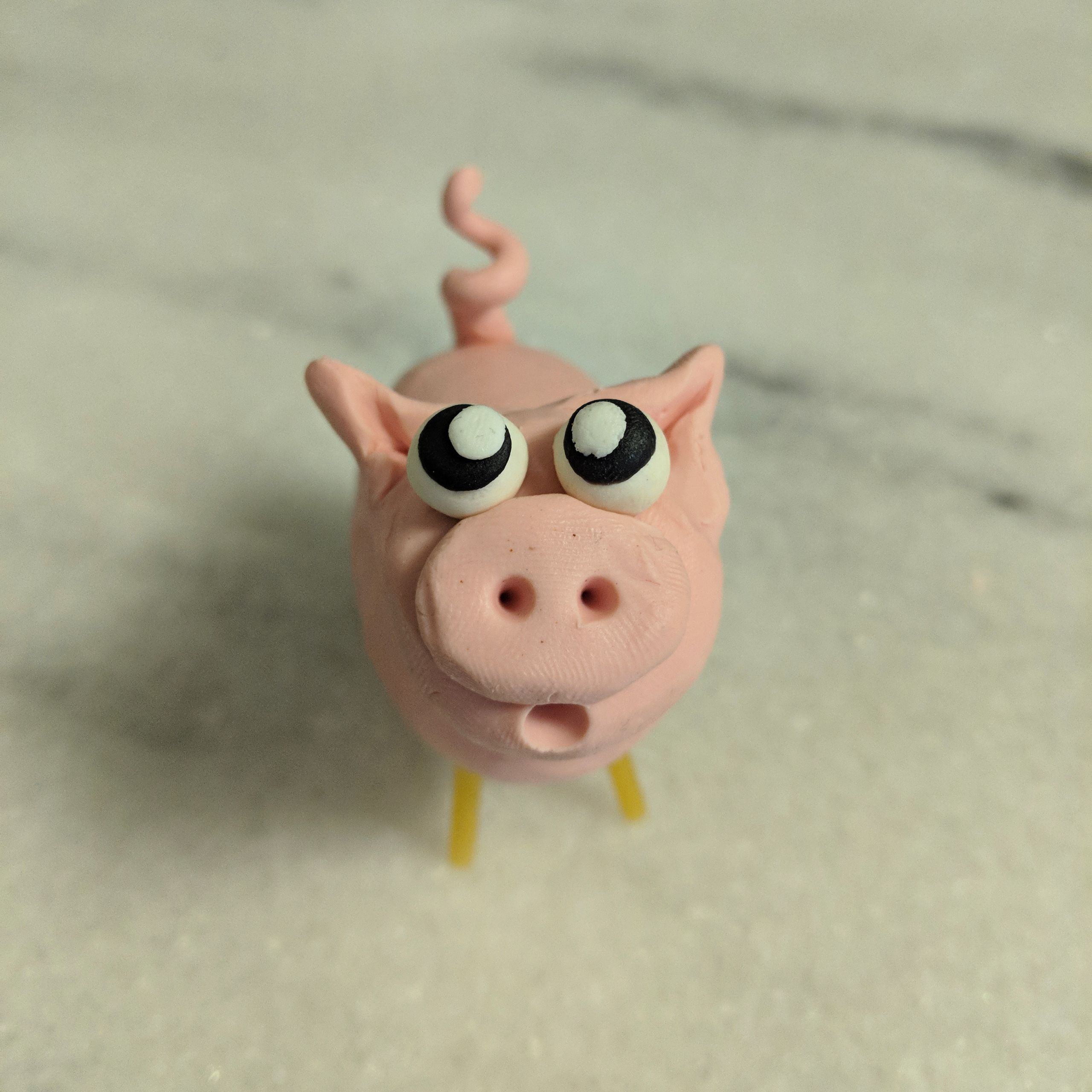 Pig28