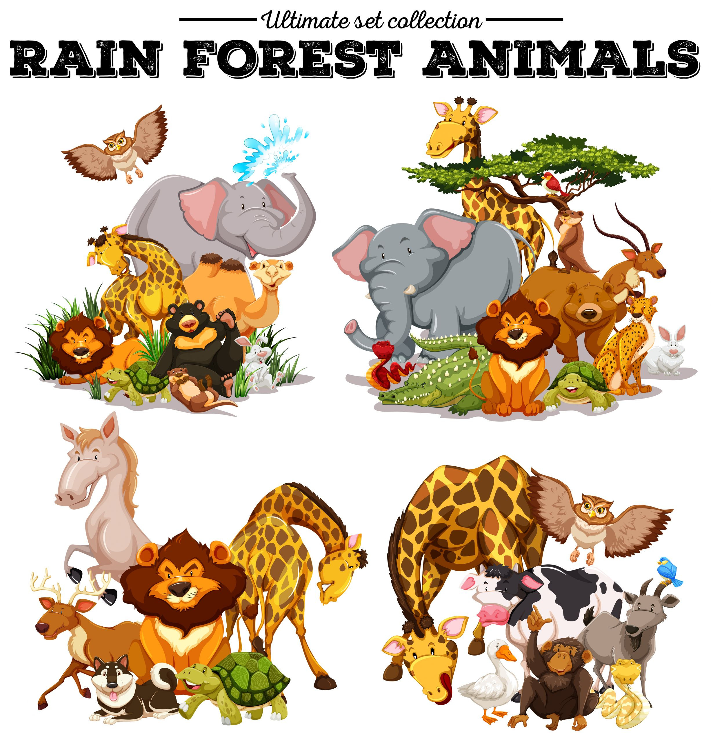 Forest Animals Preschool Worksheets