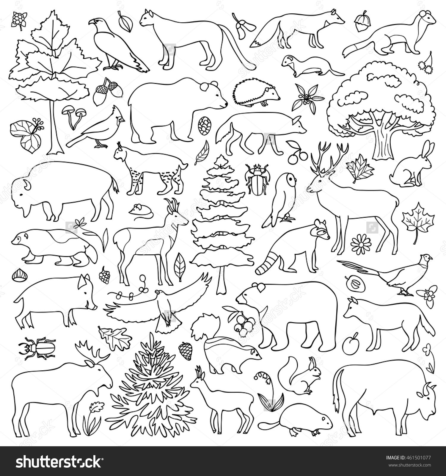 Forest Animals Preschool Worksheets