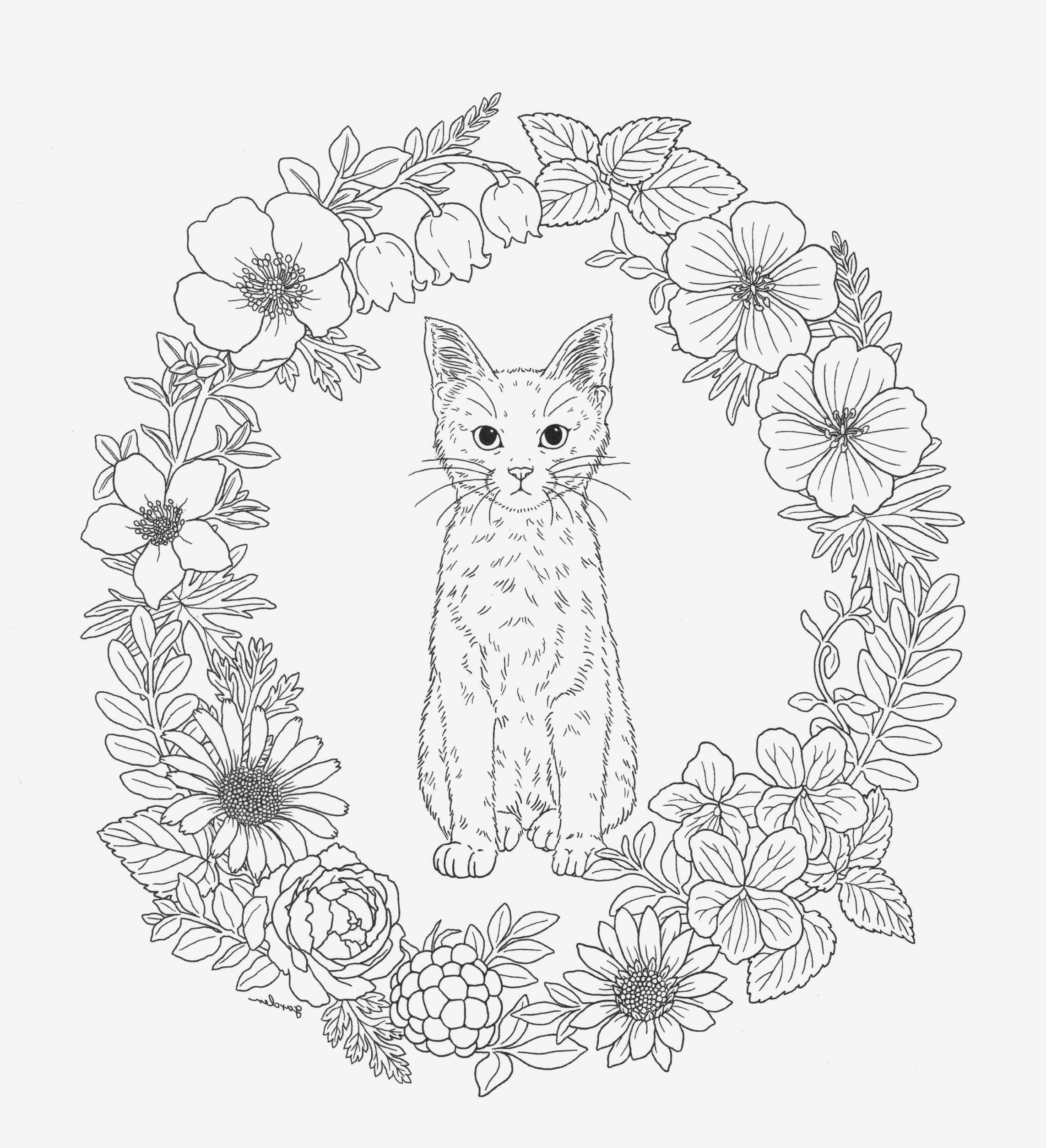 forest coloring sheet inspirational images coloring pages page 12 coloring of forest coloring sheet