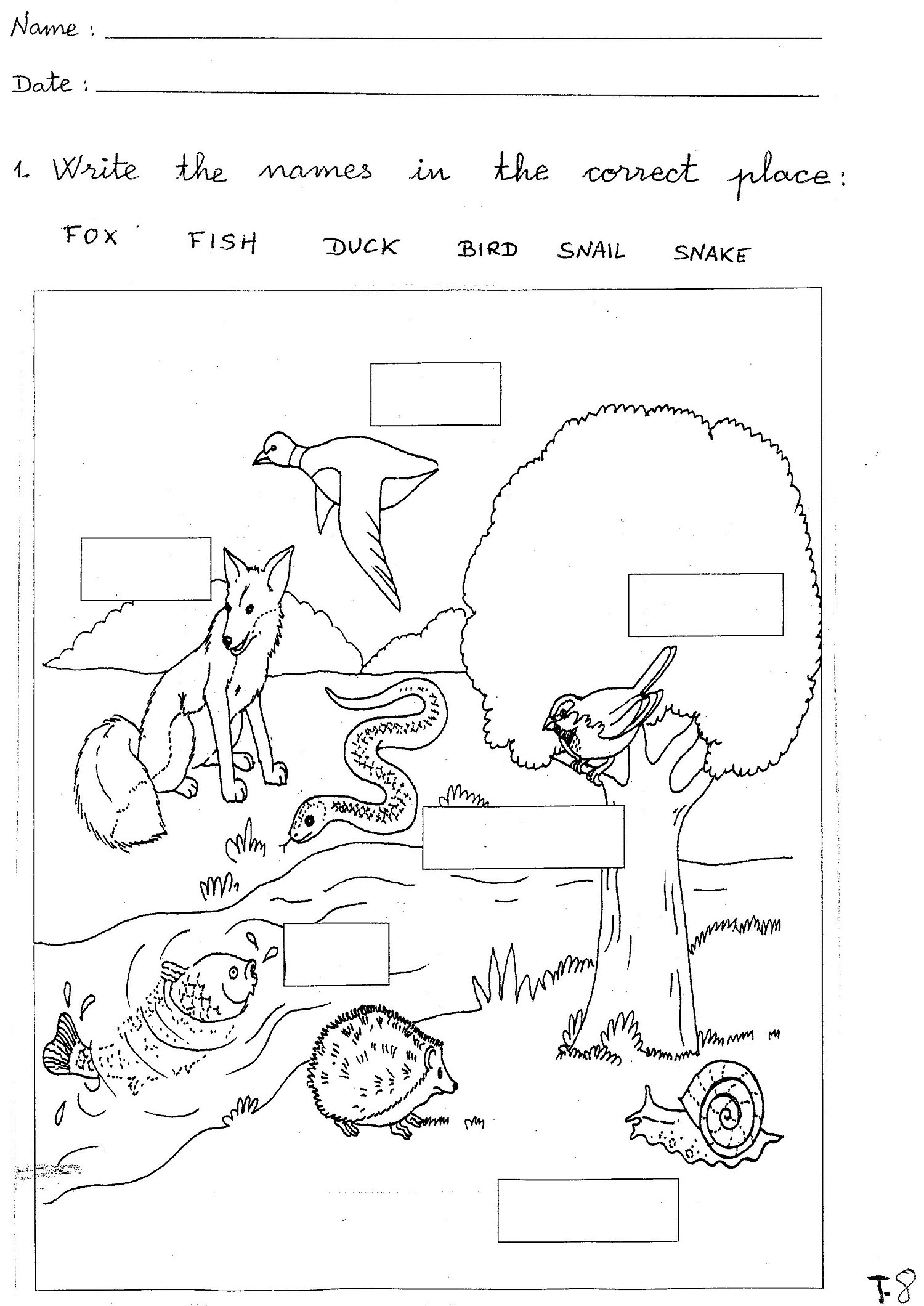 Forest Animals Worksheets Kindergarten